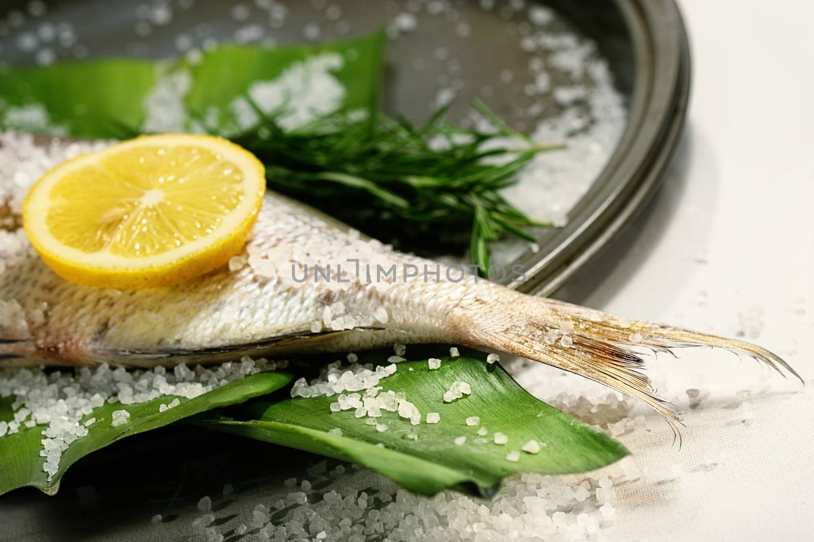 Fish tale with lemon, salt and herbs by Sandralise