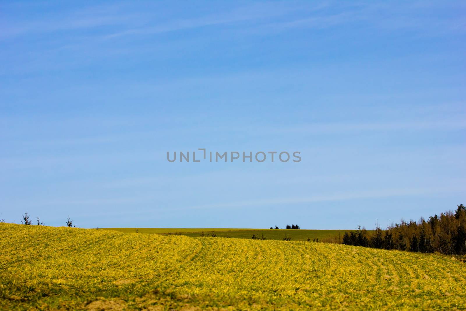 Agricultural land in spring by gwolters