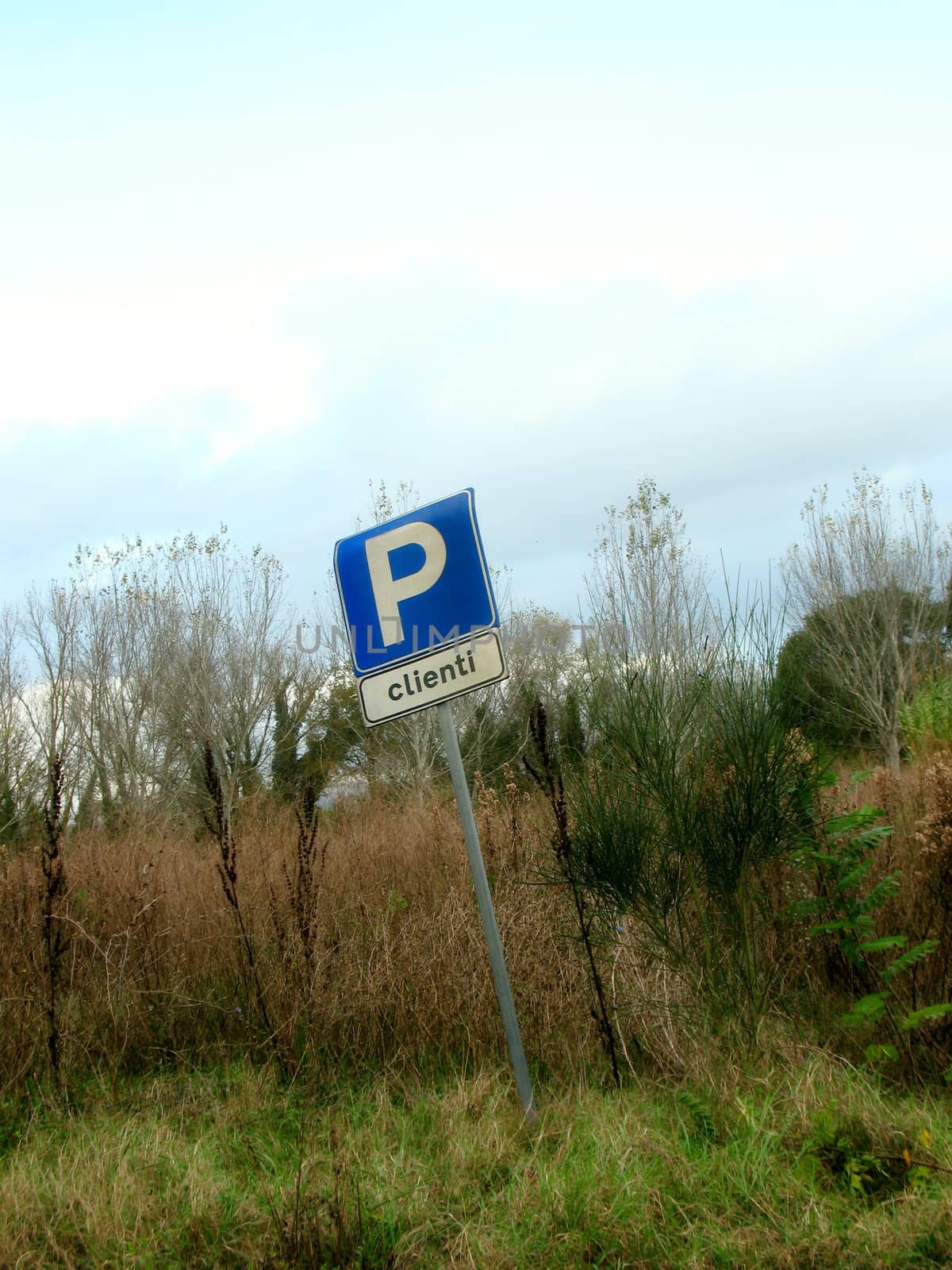 Empty parking in front of a firm without customers







Empty parking in front of a farm