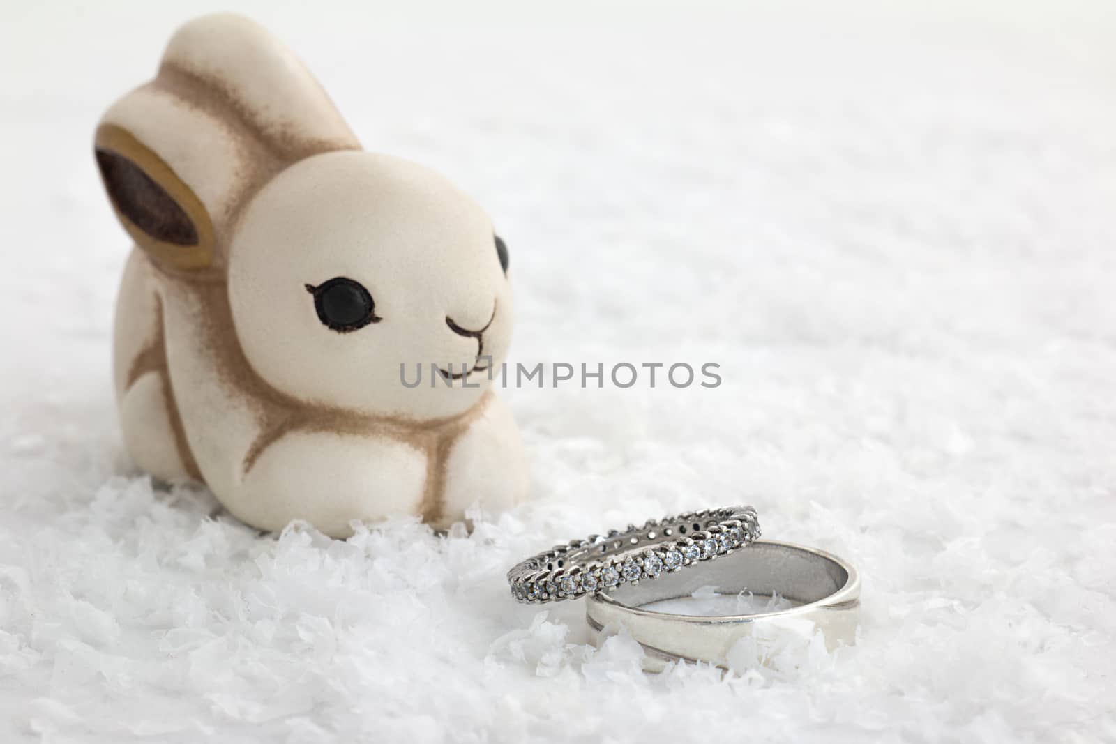 Rabbit and engagement rings by EnzoArt