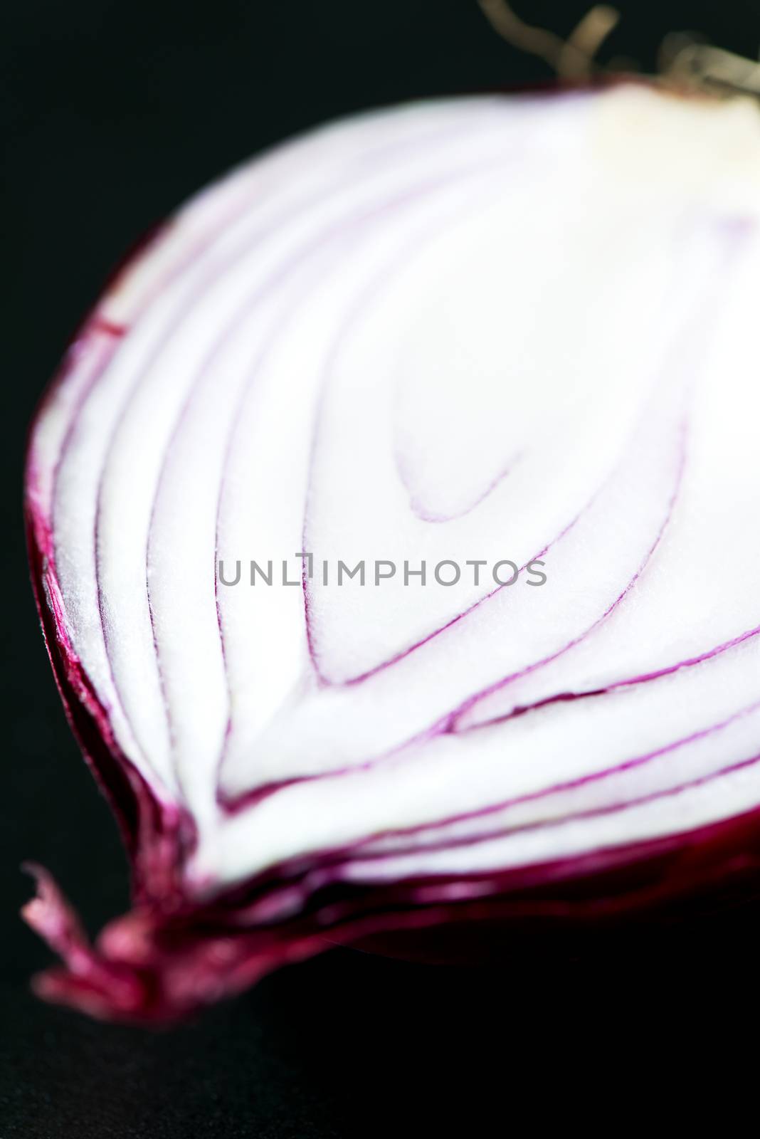 Fresh cutted red onion macro by Nanisimova