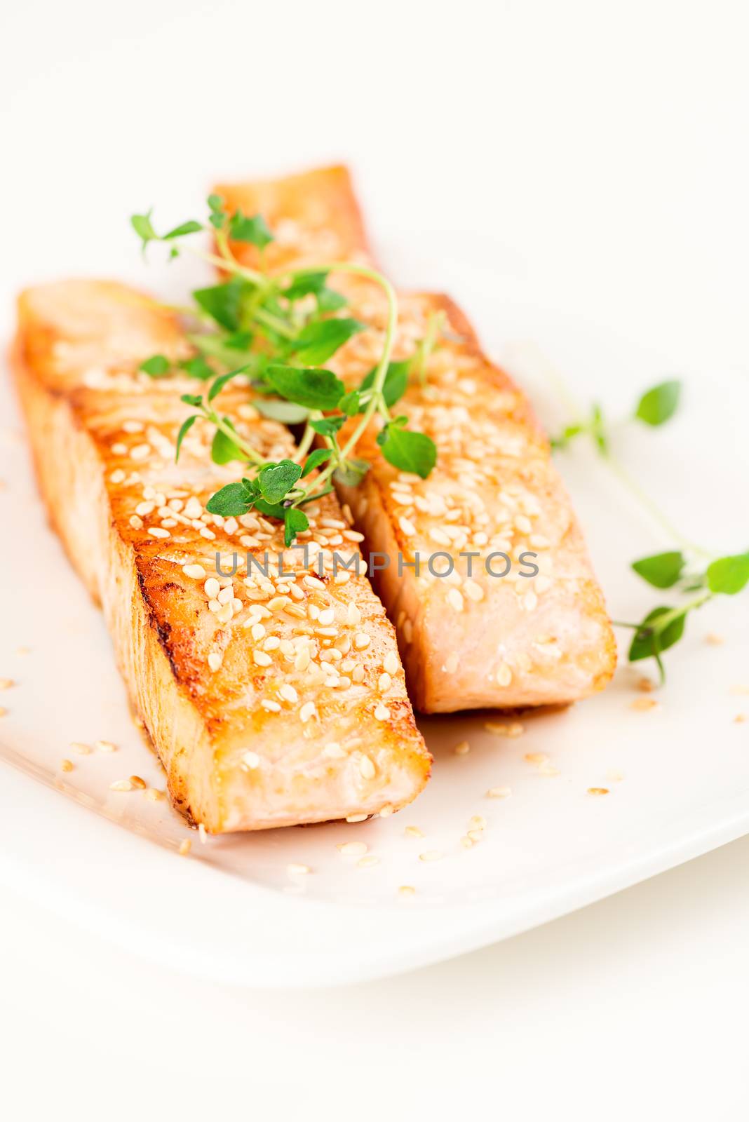 Grilled salmon on white plate vertical by Nanisimova
