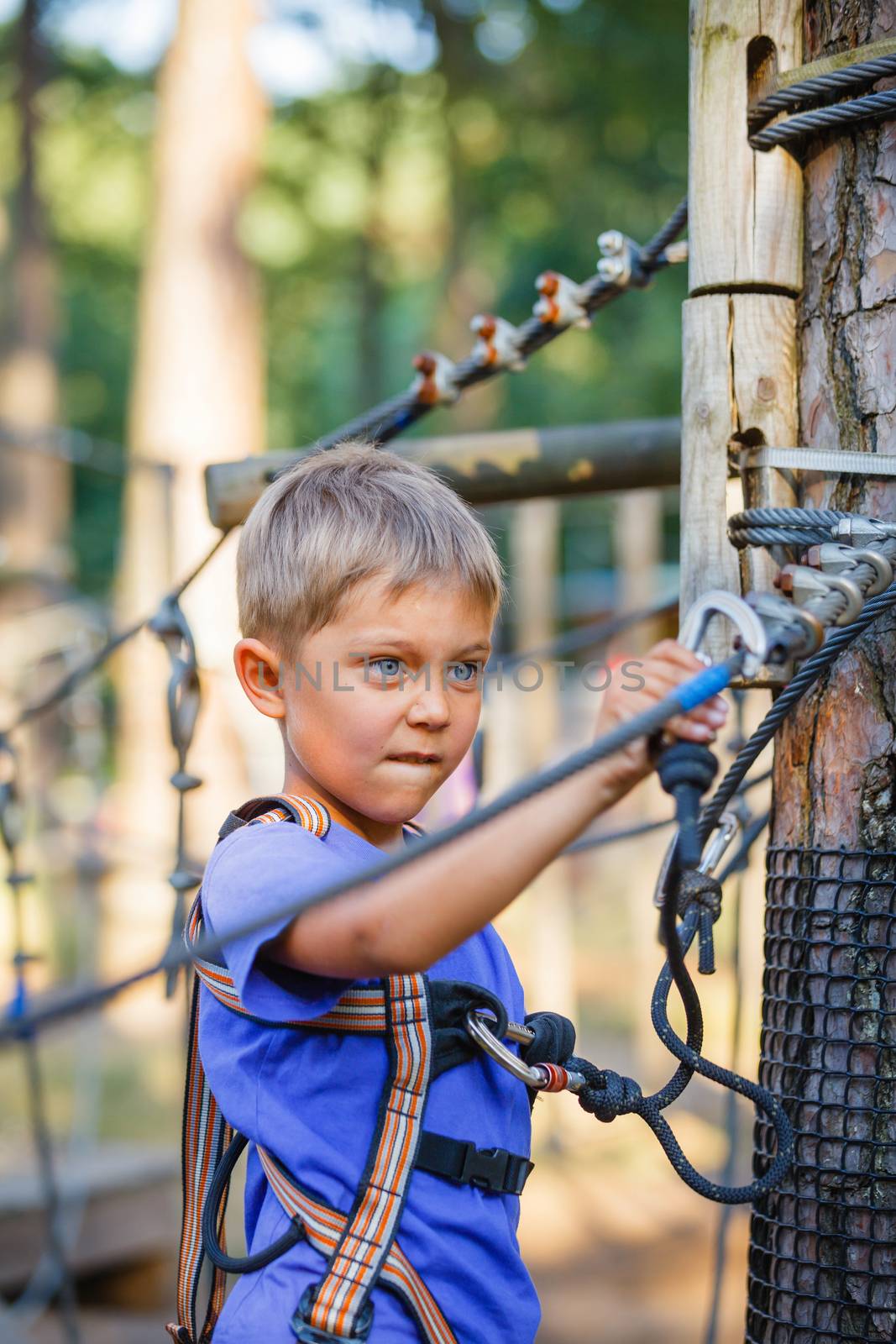 Happy child, preschool boy enjoying activity in a climbing adventure park on a summer day