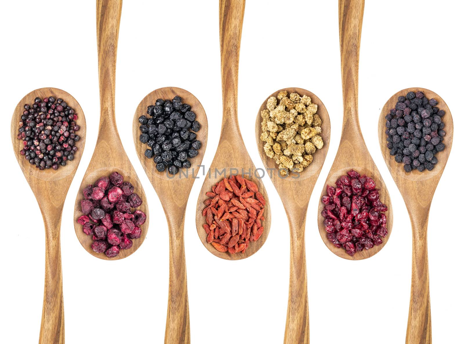 healthy dried berry collection (blueberry, mulberry, cherry, goji, elderberry, chokeberry, cranberry) on isolated wooden spoons, top view