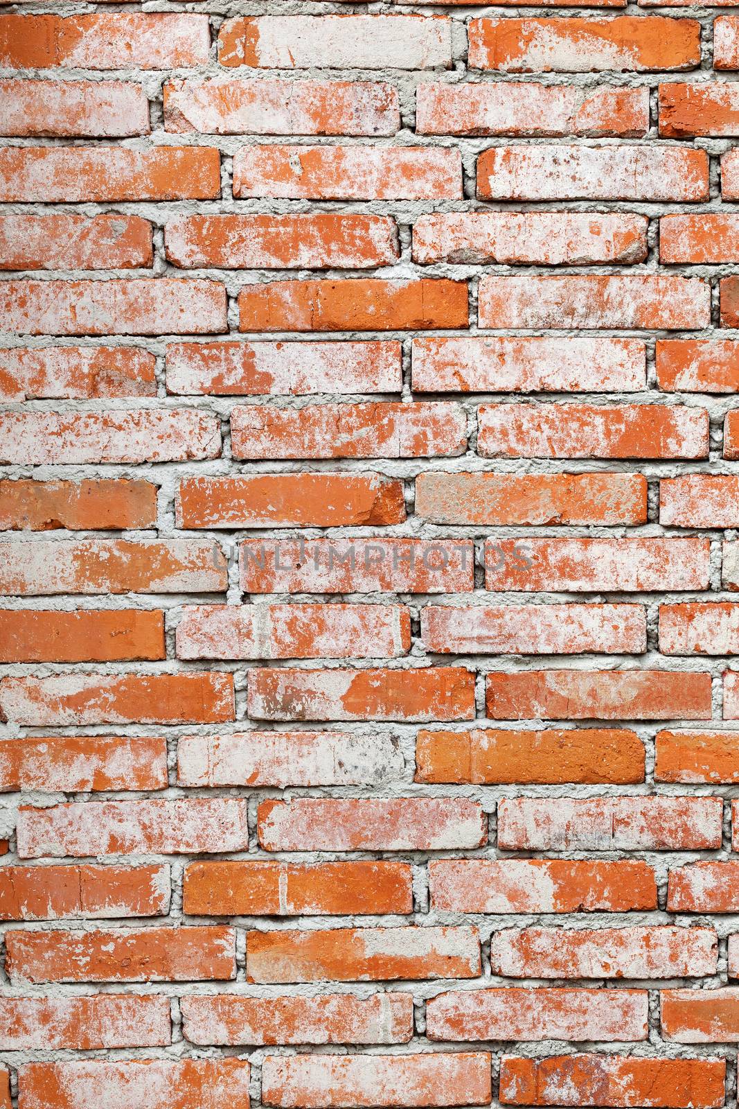 Brick wall. by eskymaks