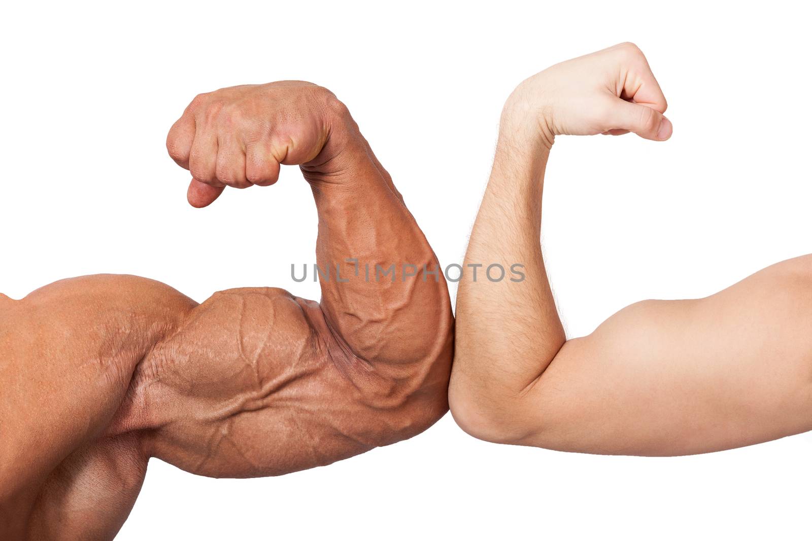 Bodybuilder and normal biceps isolated on white background. Bodybuilding, sports and fitness concept.