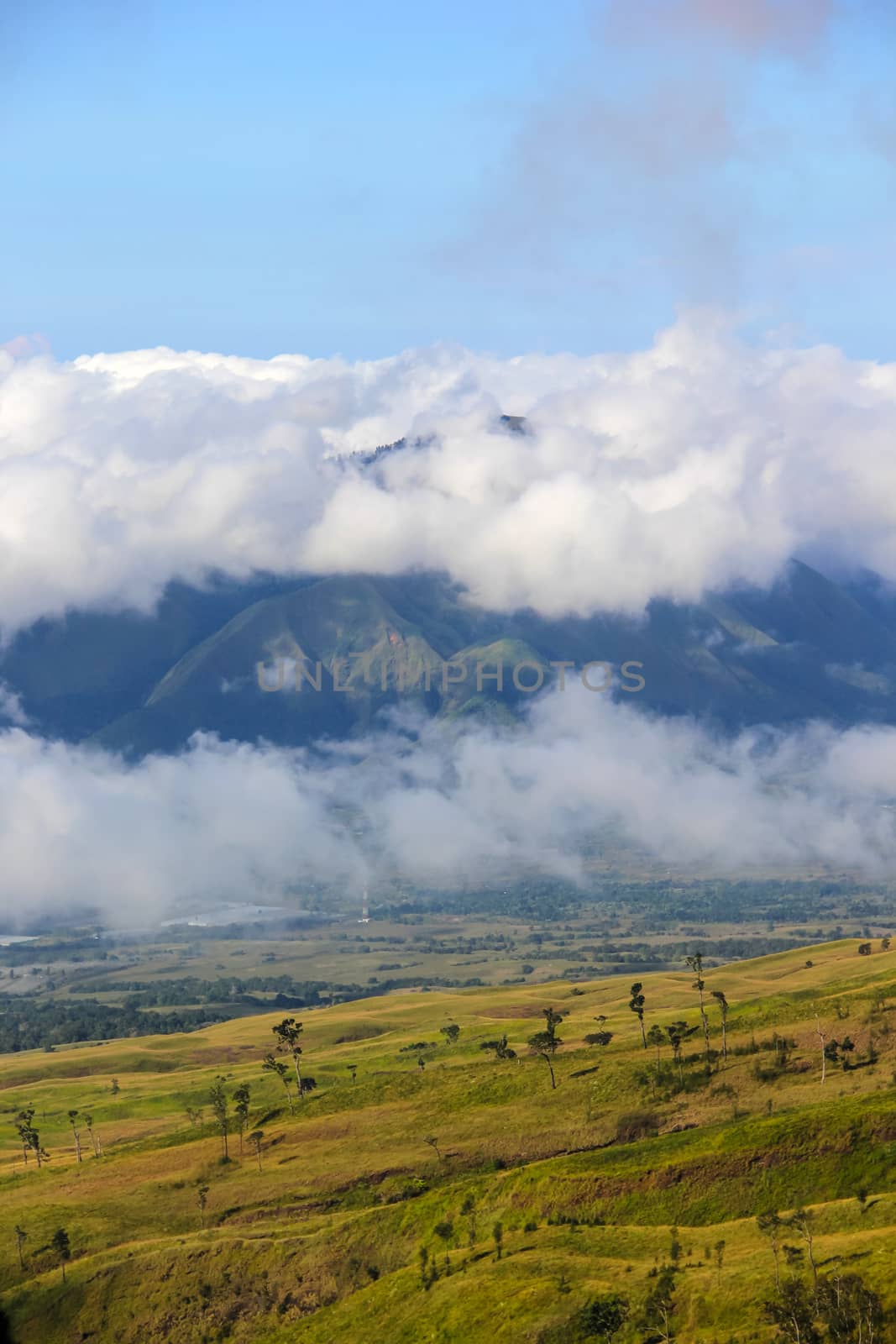 Landscape on mountain with grass and cloud