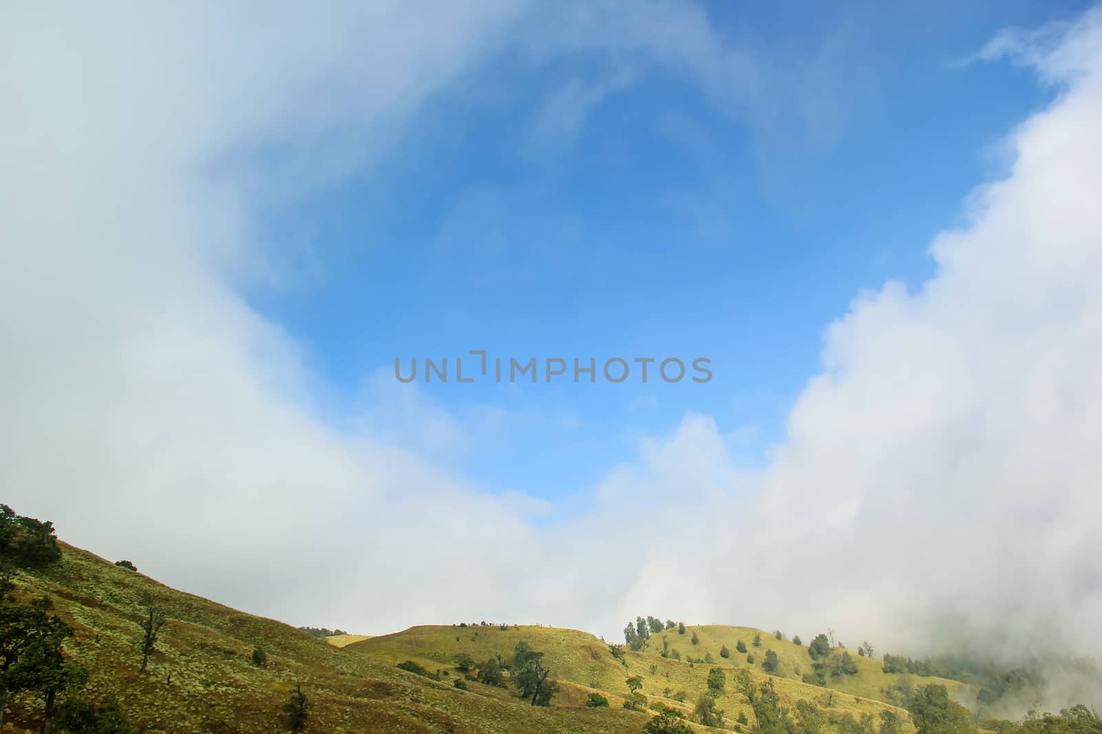 Landscape on mountain with grass and cloud