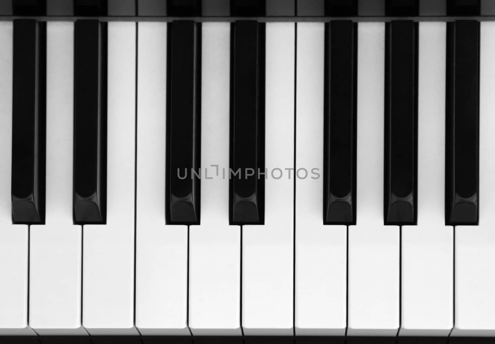 Closeup of piano key in black and white