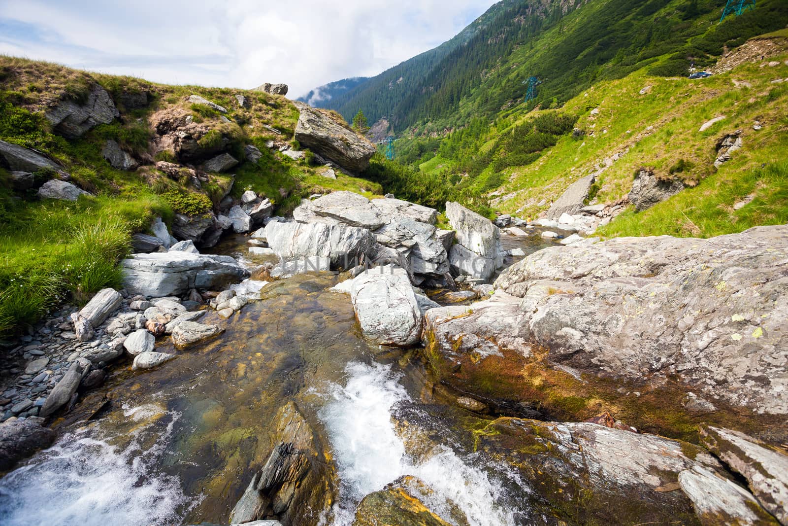 Forest stream surrounded by vegetation running over rocks