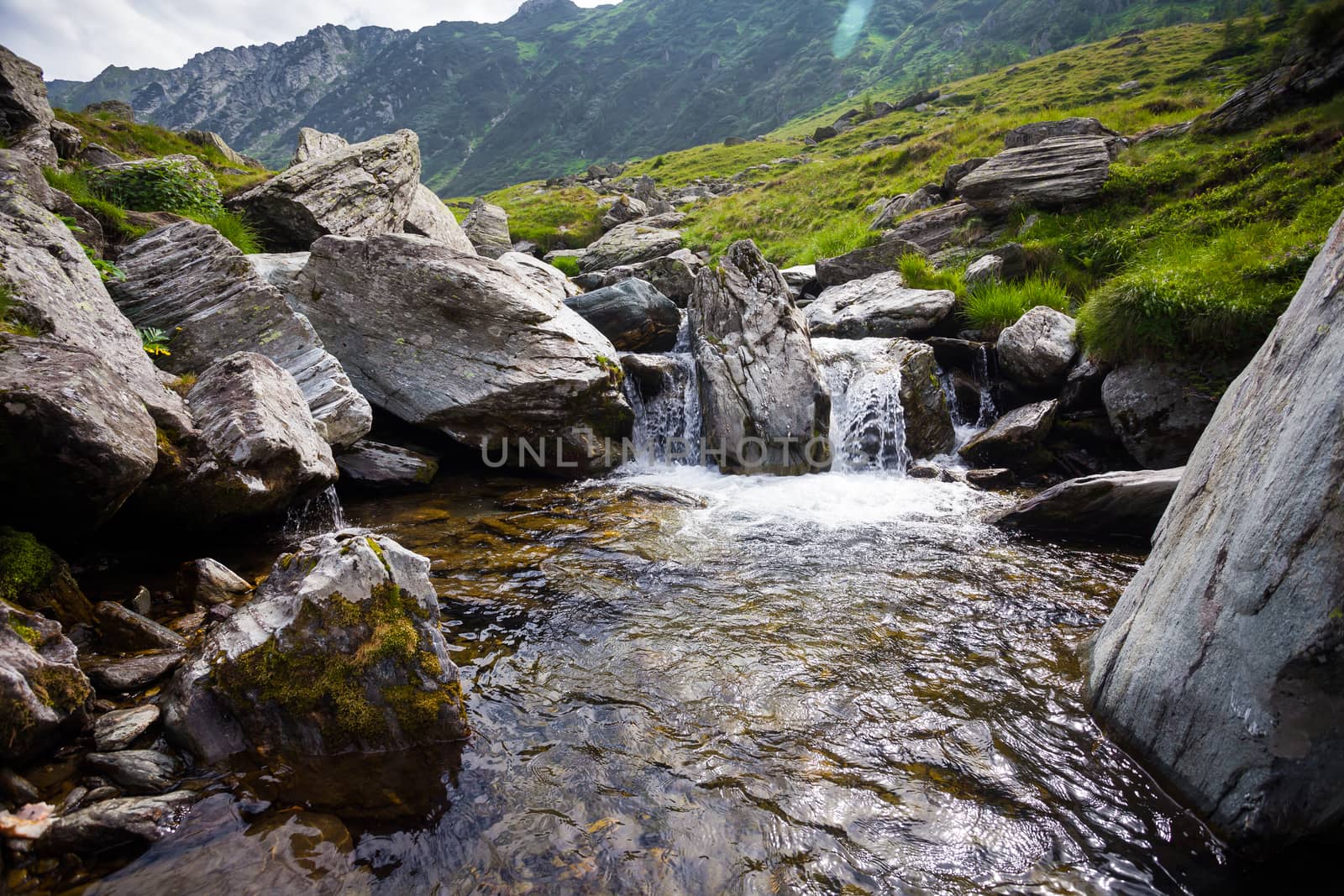 Forest stream surrounded by vegetation running over rocks