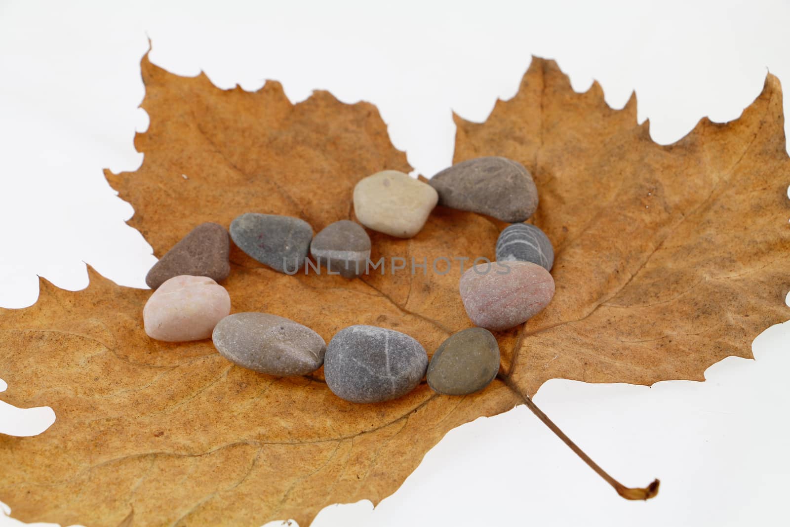 Heart shape made of stone on autumn leaf