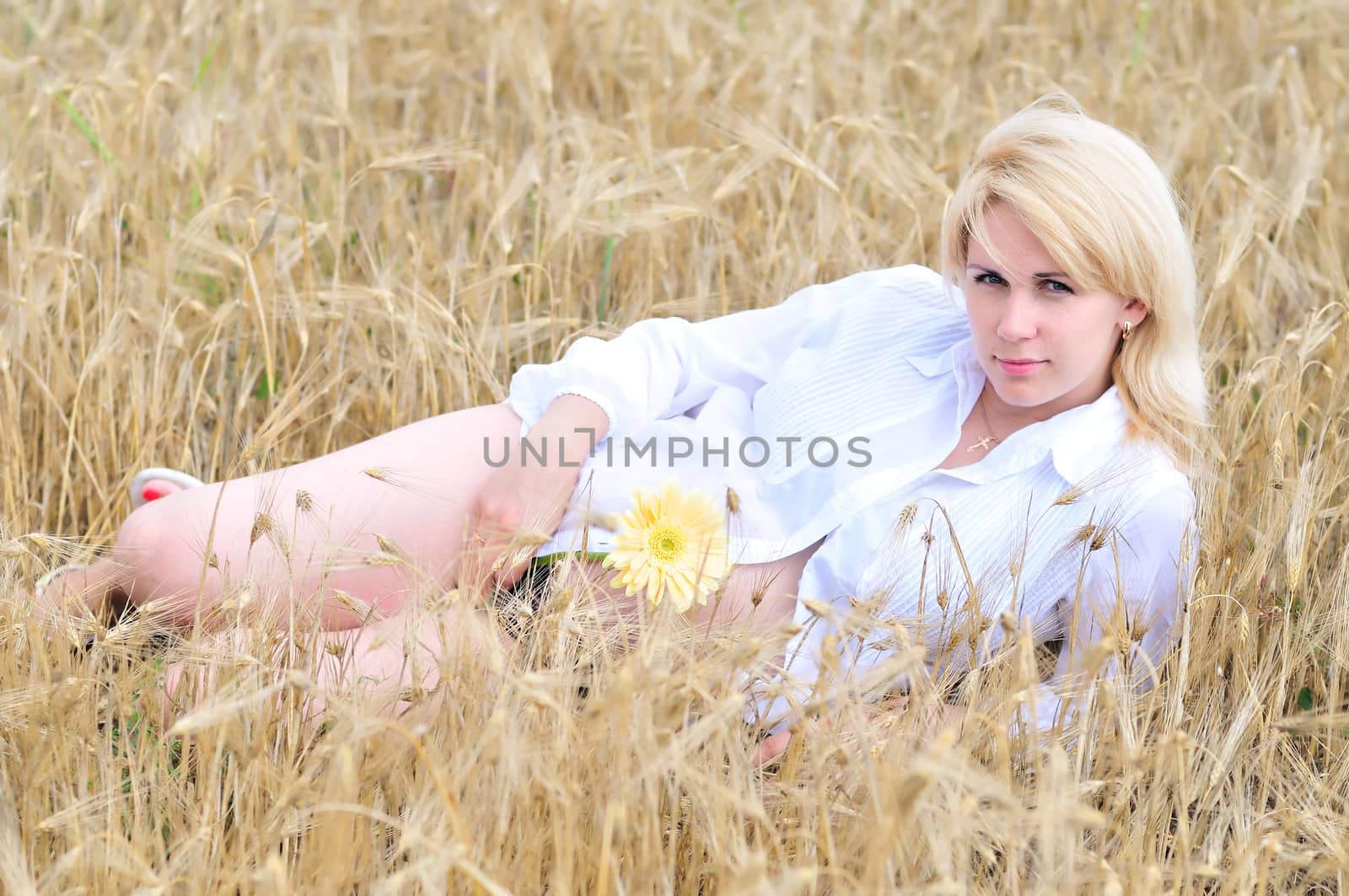 pregnant woman laying with gerbera in the sunny summer field 