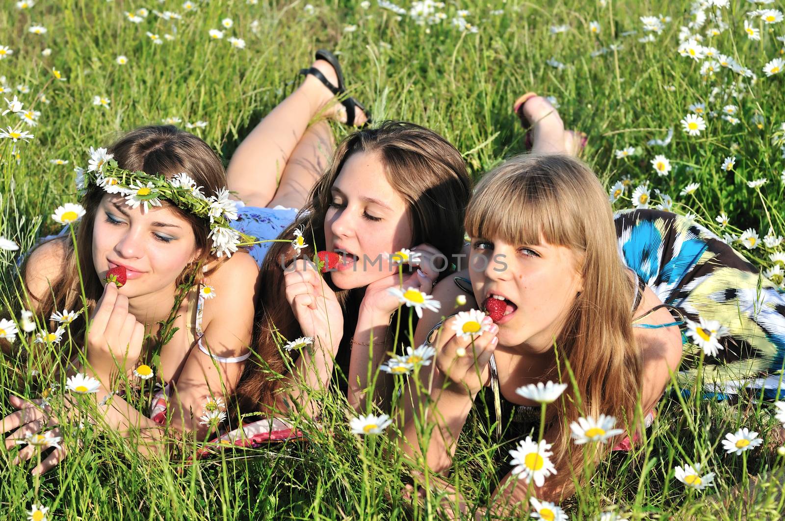 three friends teen girls eating strawberry on the daisy field 