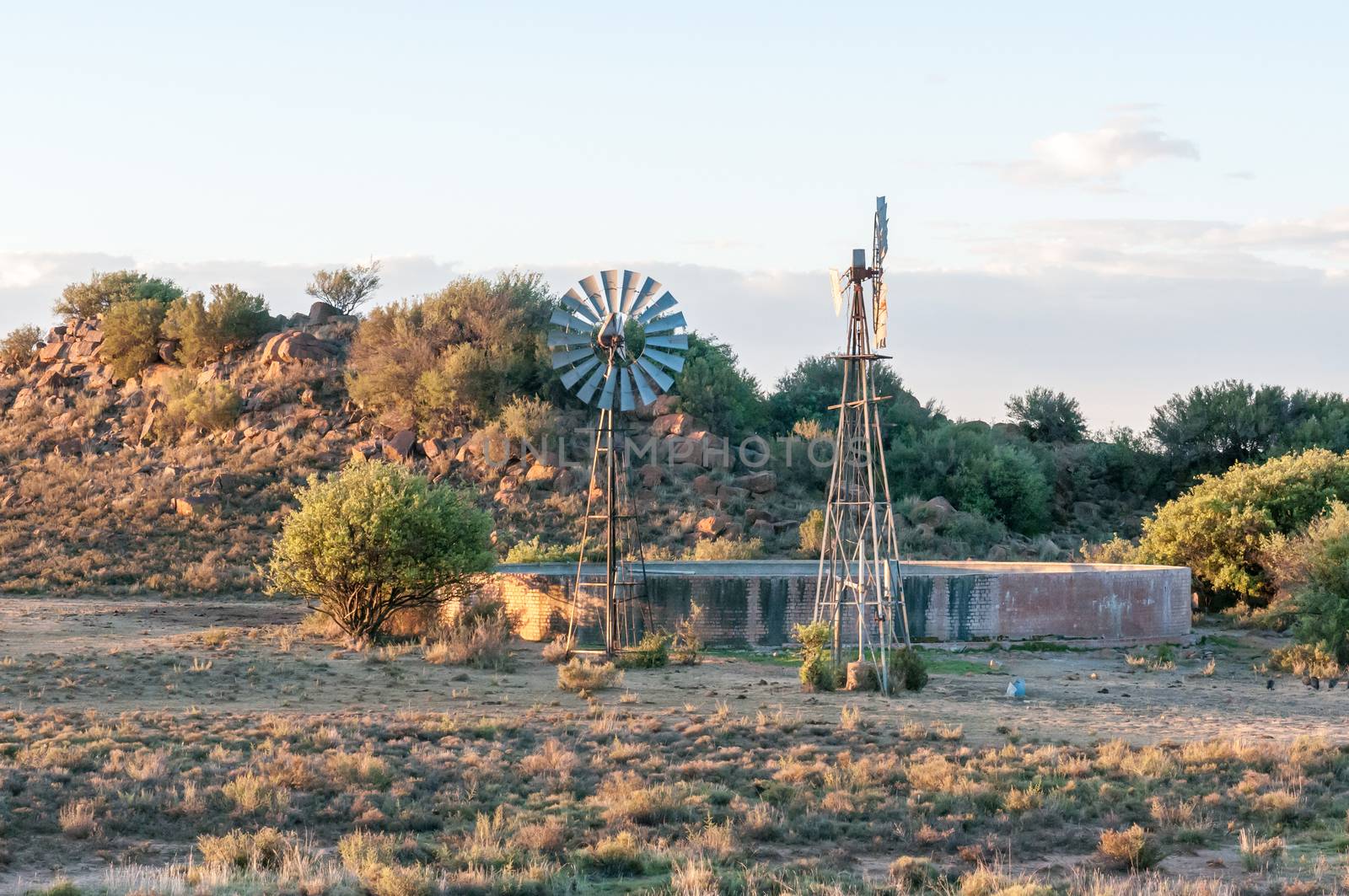 Sunset farm scene between Noupoort and Colesberg in the Northern Cape Province of South Africa