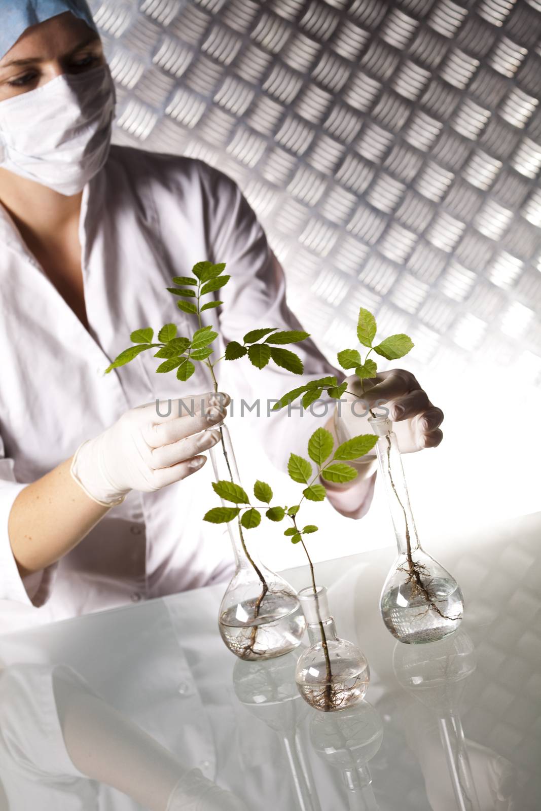 Laboratory glassware equipment, Experimental plant