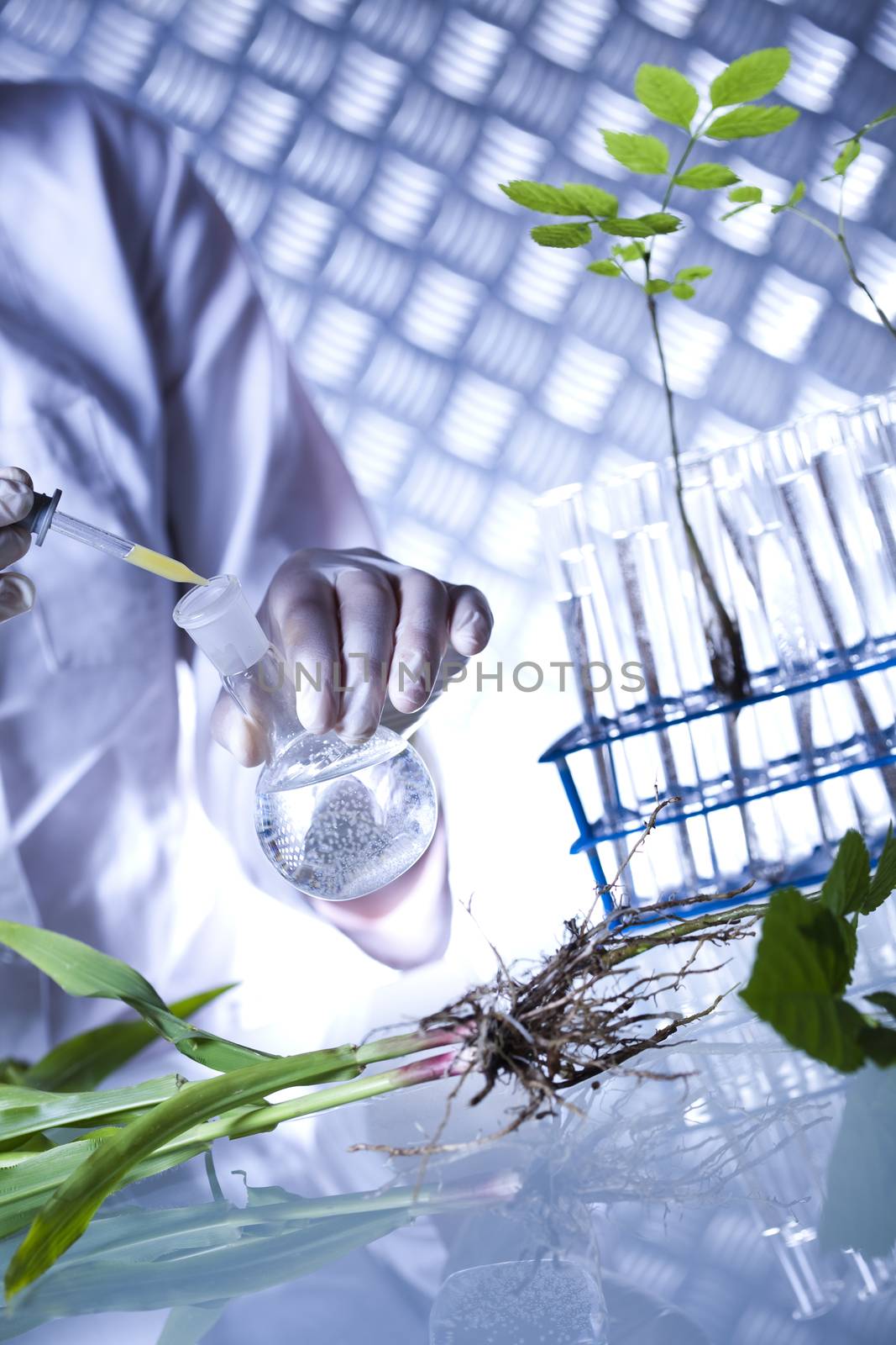 Chemistry equipment, plants laboratory experimental