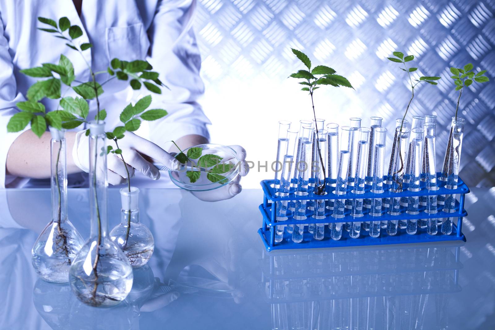 Chemistry equipment, plants laboratory experimental