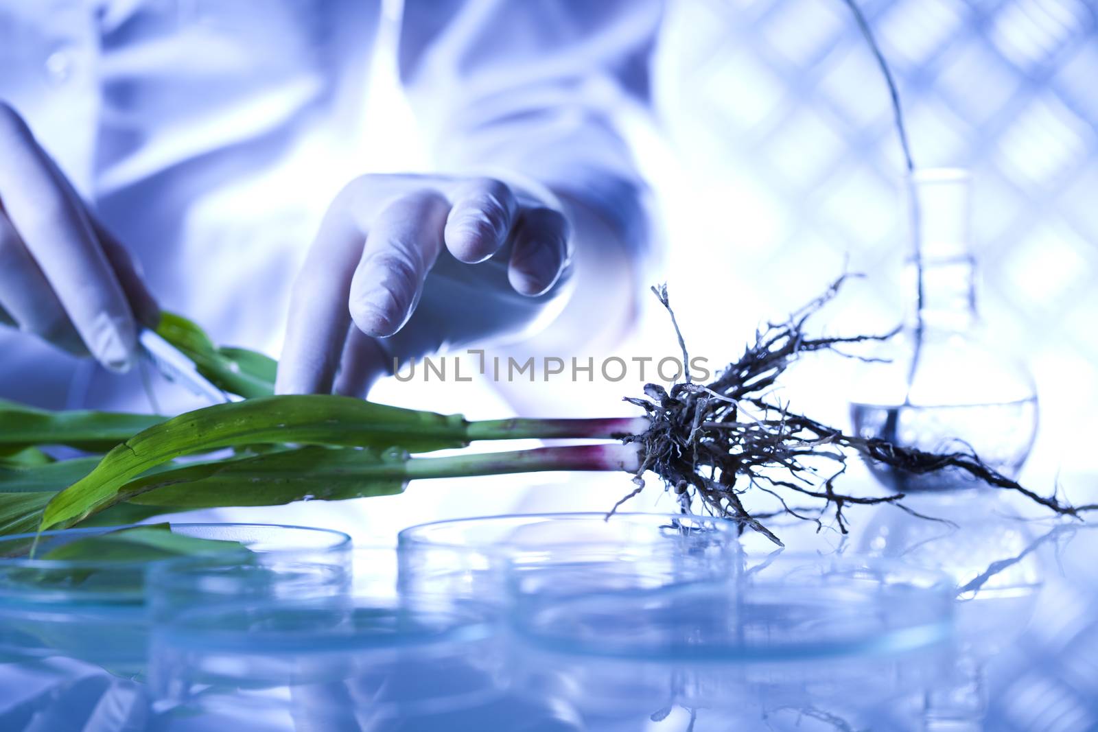 Science experiment with plant laboratory by JanPietruszka