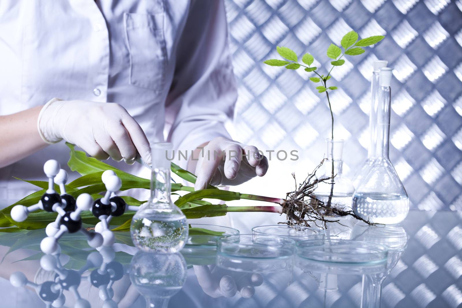 Science experiment with plant laboratory