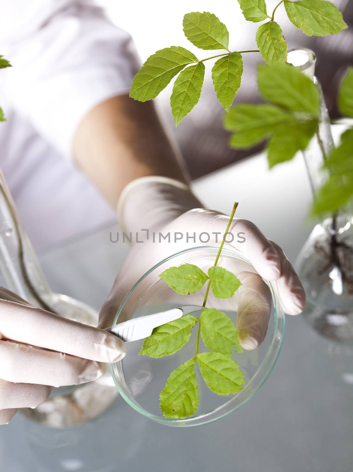 Laboratory, bio organic modern concept by JanPietruszka