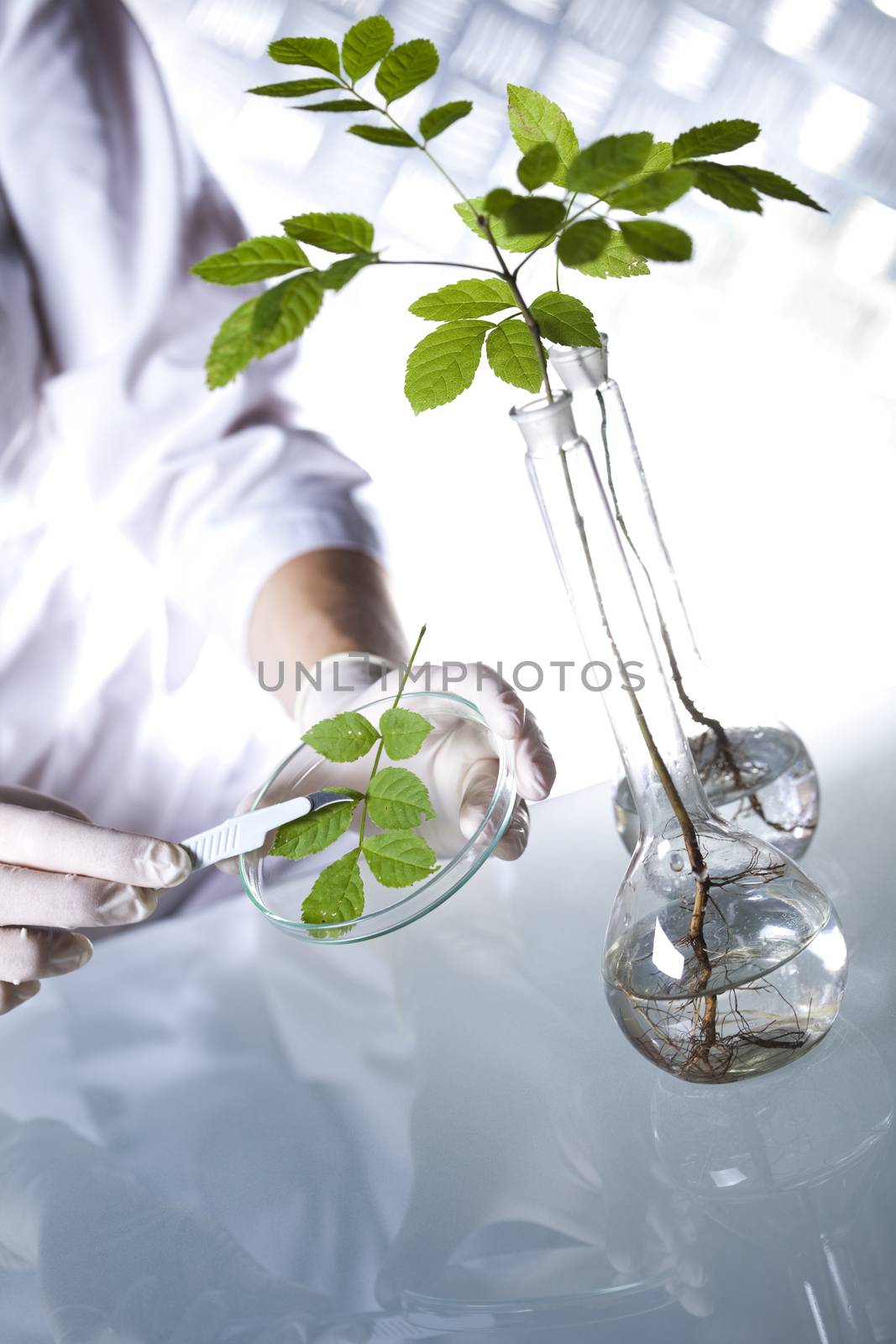 Biotechnology, Chemical laboratory glassware, bio organic modern concept by JanPietruszka