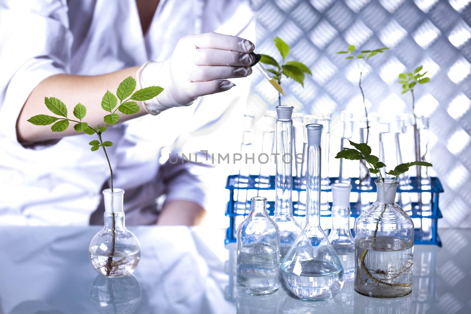 Laboratory glassware, bio organic modern concept
