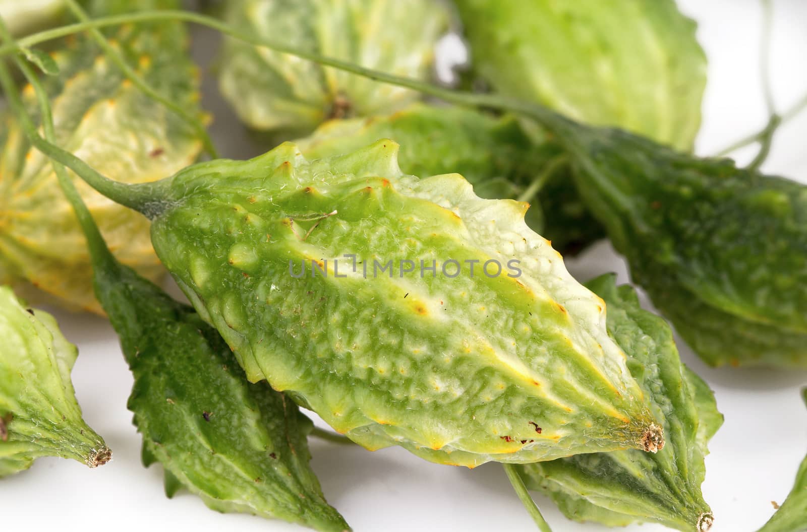 Wild Bitter Gourd on white background