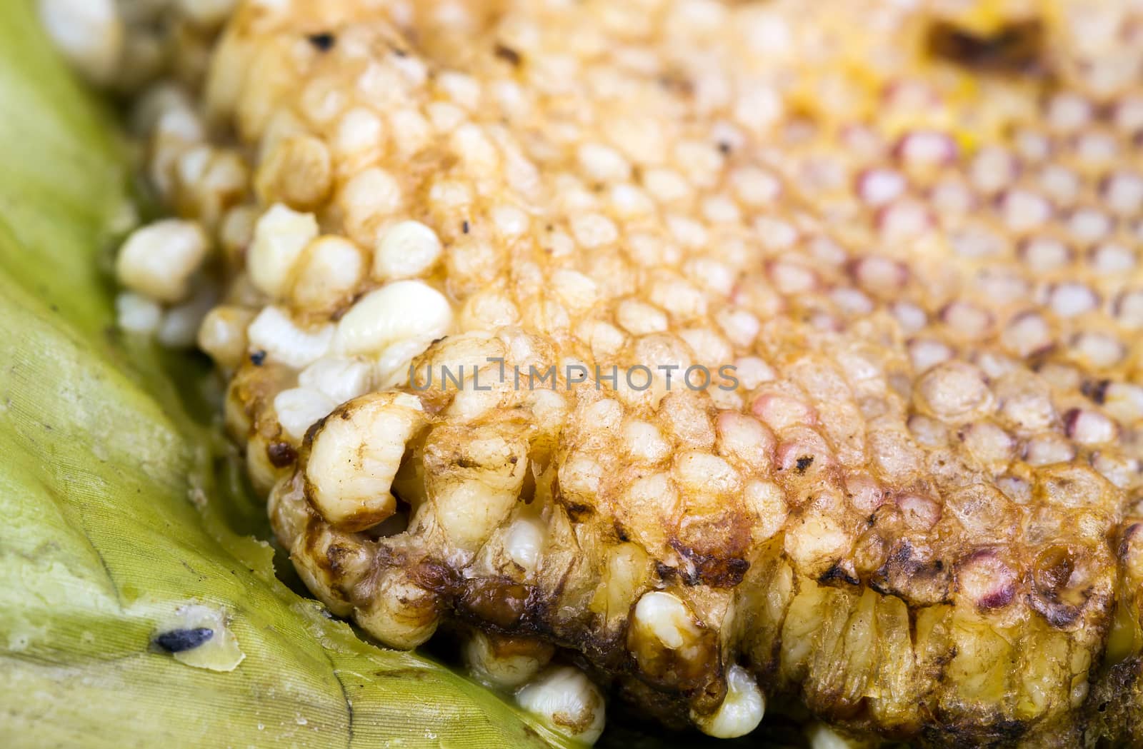 roasted immature beehive on banana leaves - Thai expensive traditional food