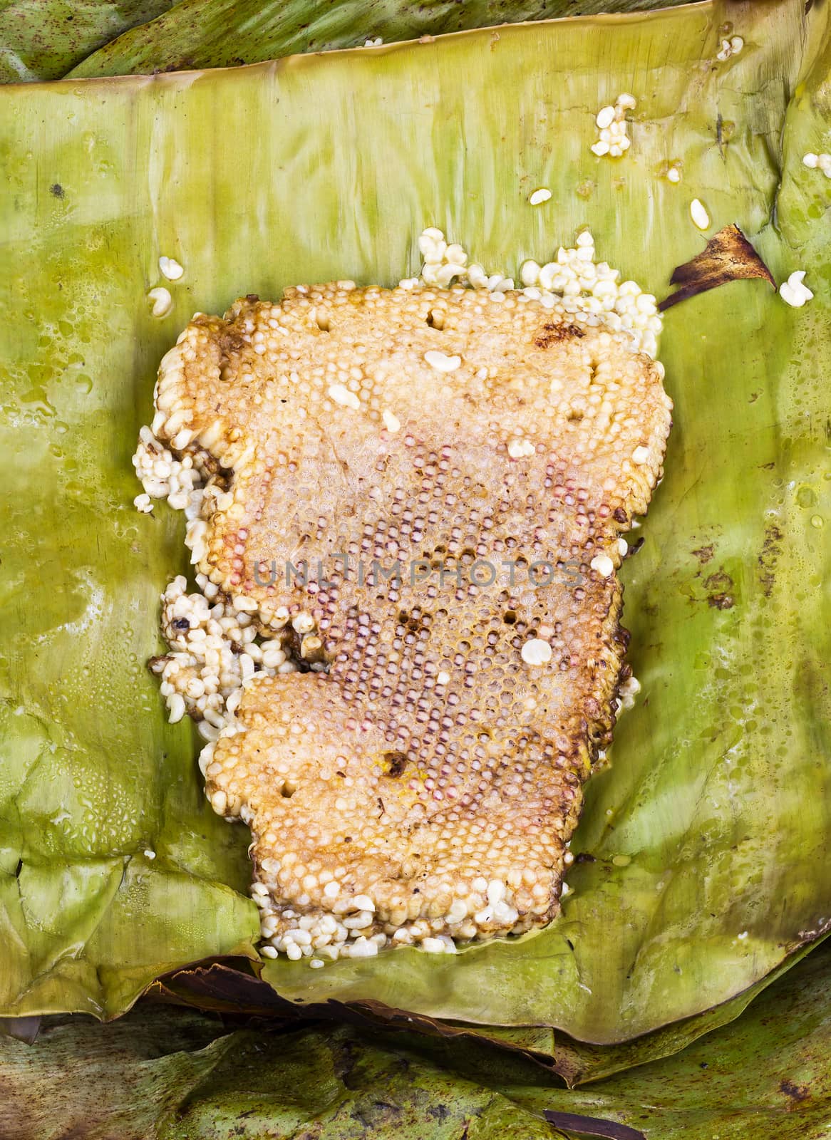 roasted immature beehive on banana leaves - Thai expensive traditional food