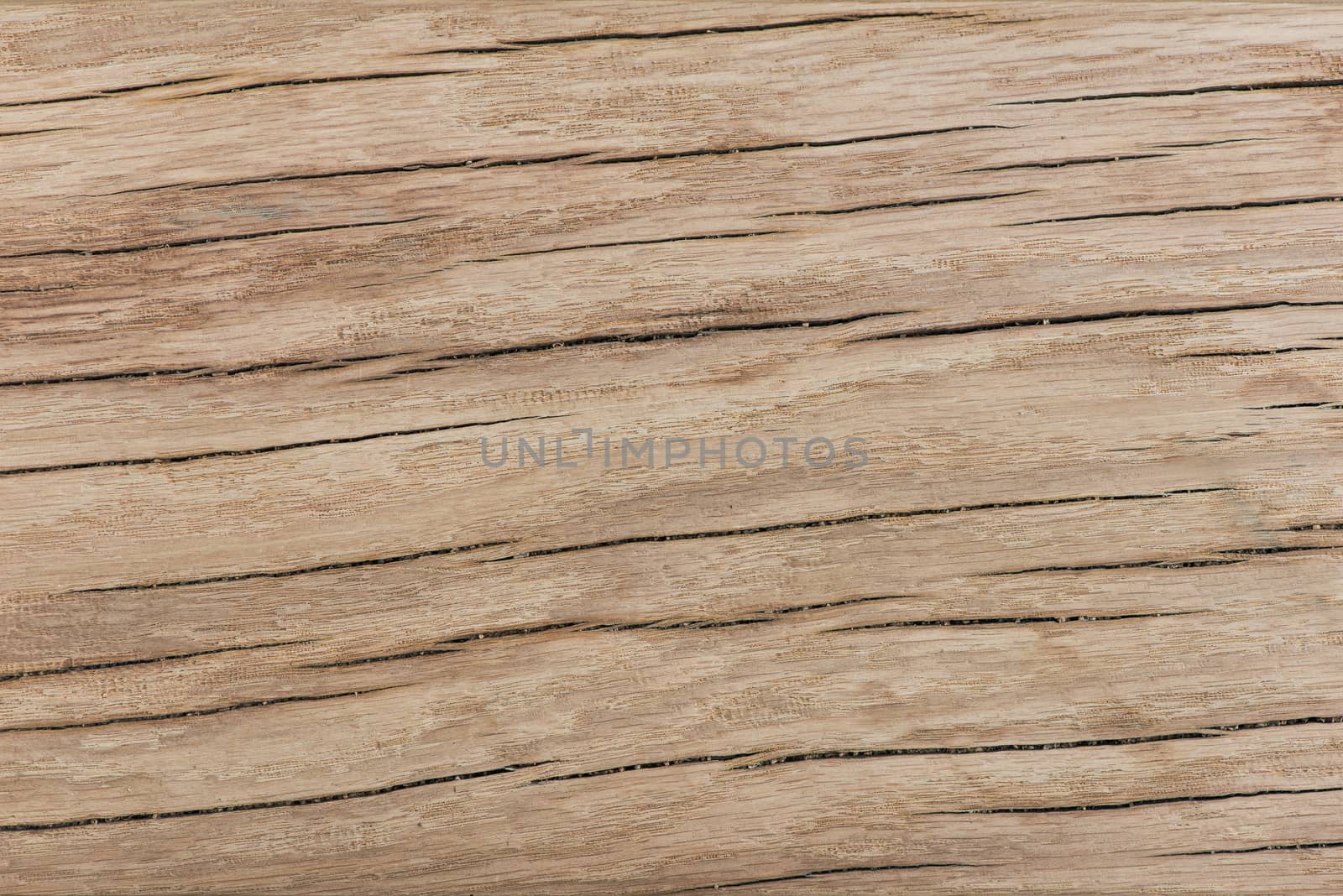 old cracked oak texture