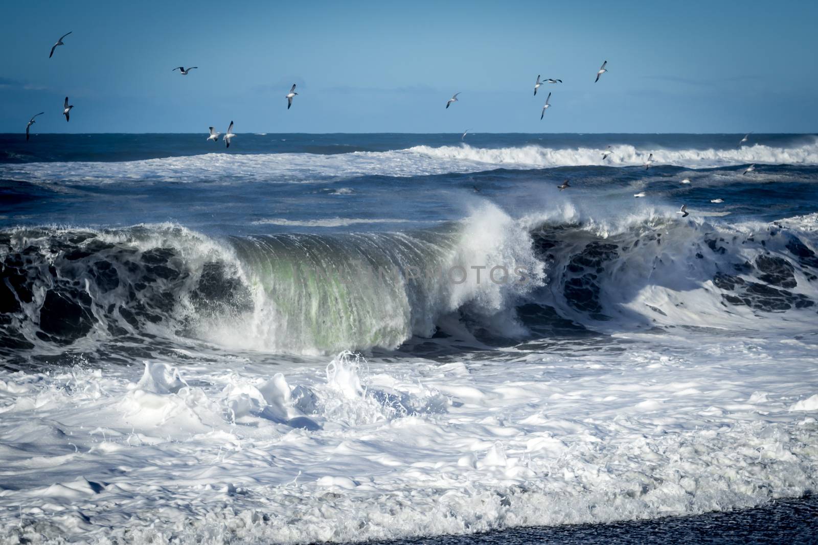 Crashing Wave by backyard_photography