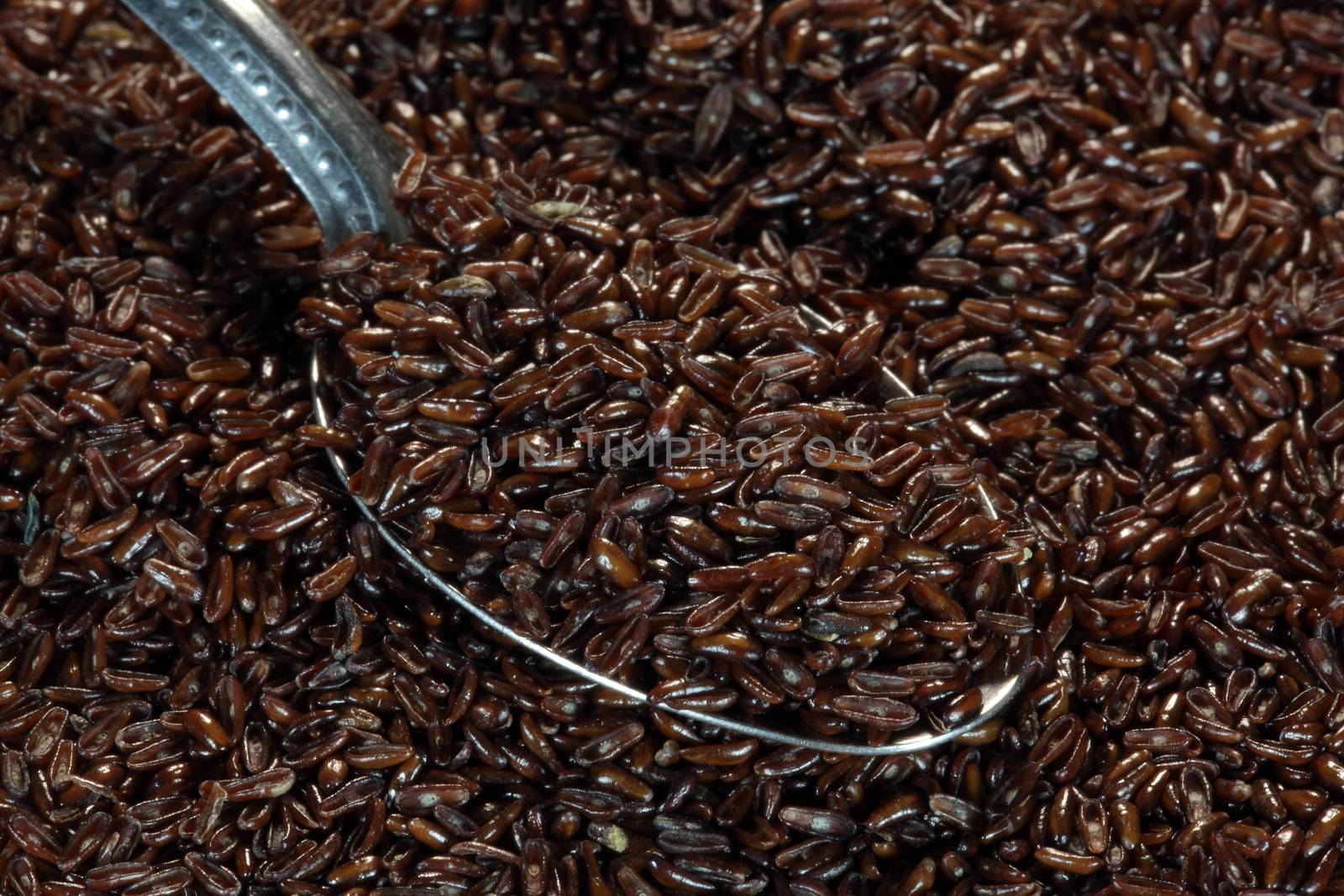 A macro photo of psyllium seed husks (Plantago ovata).