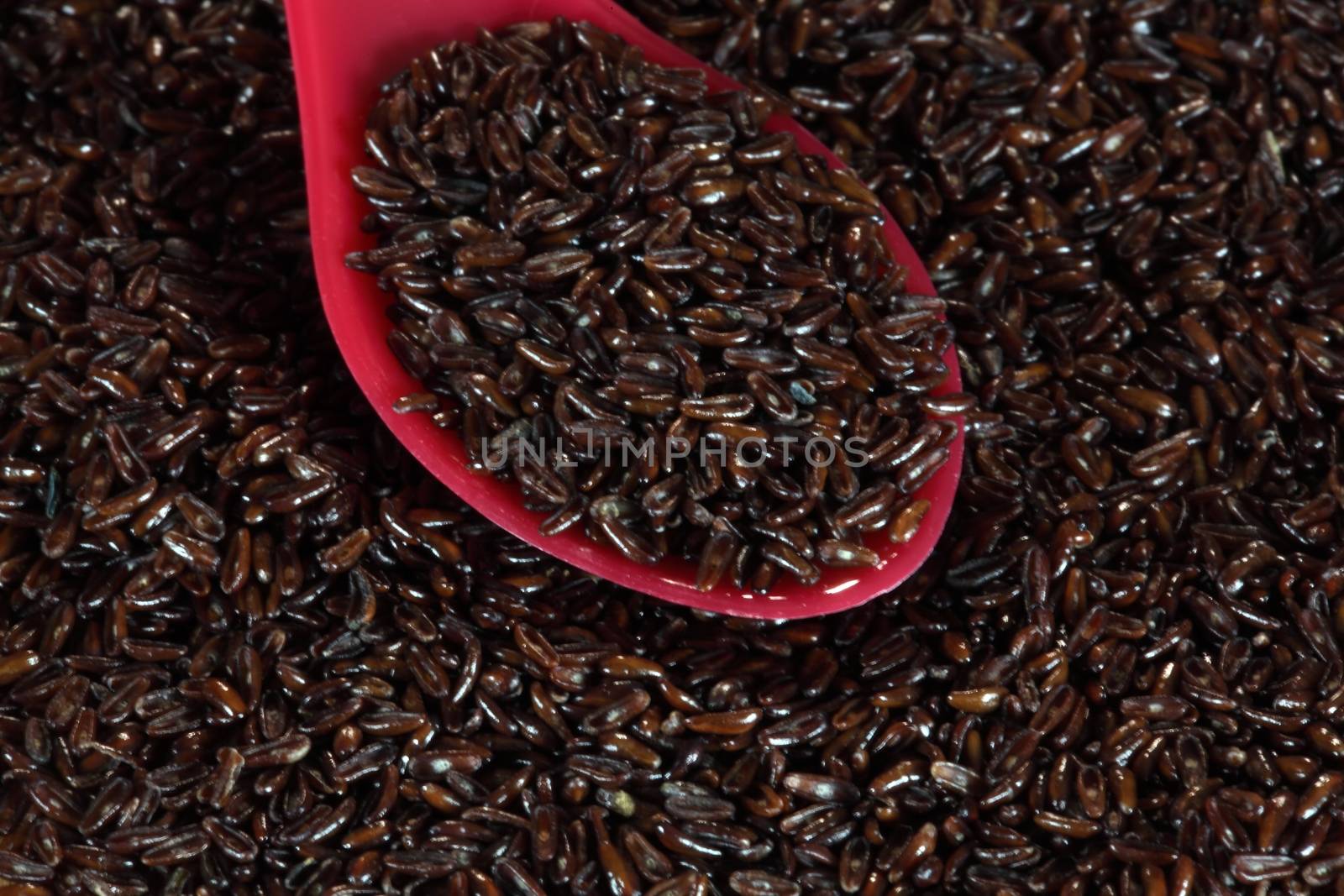 A macro photo of psyllium seed husks (Plantago ovata).