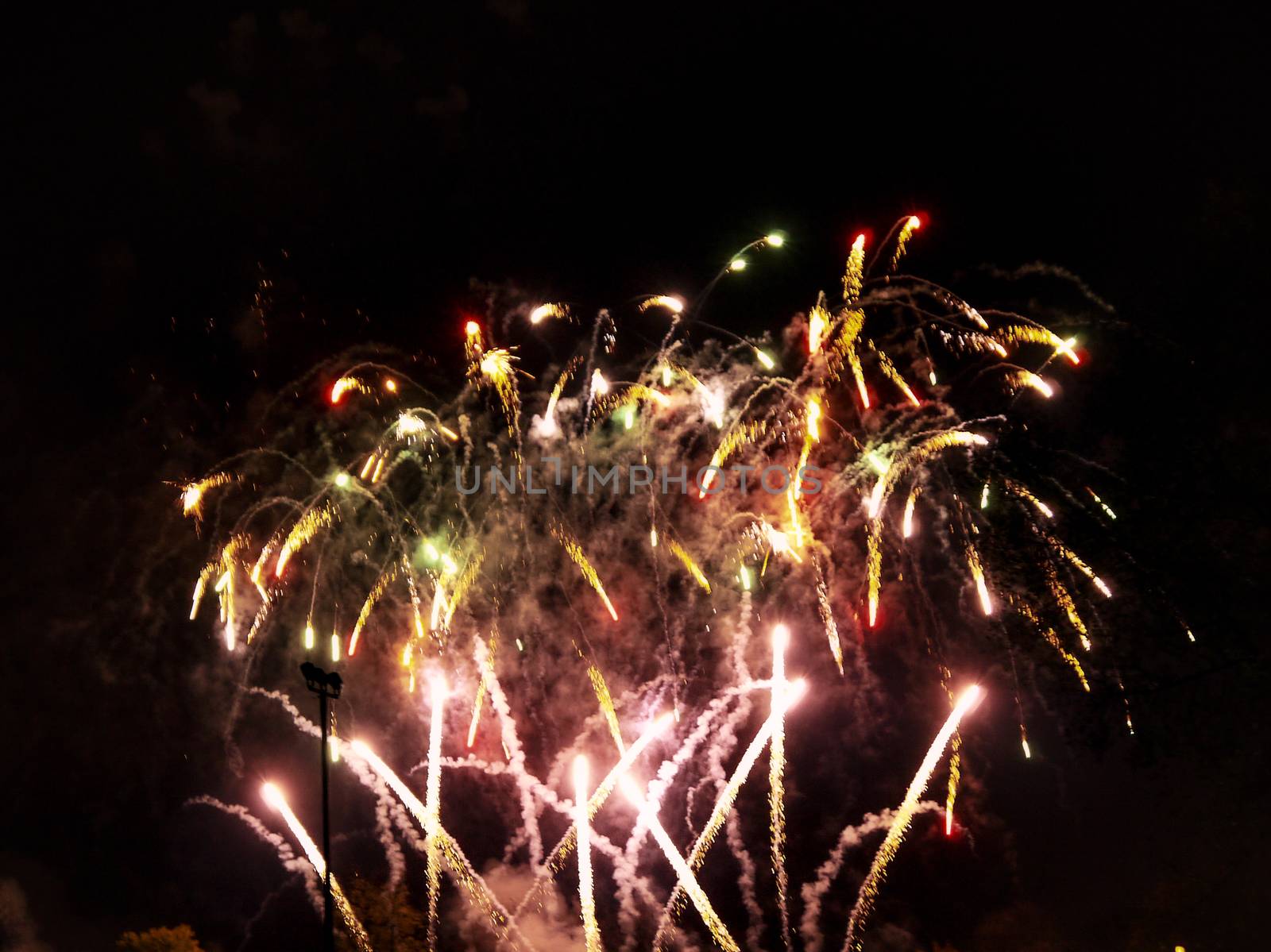 Colorful fireworks on the black sky  by dolfinvik
