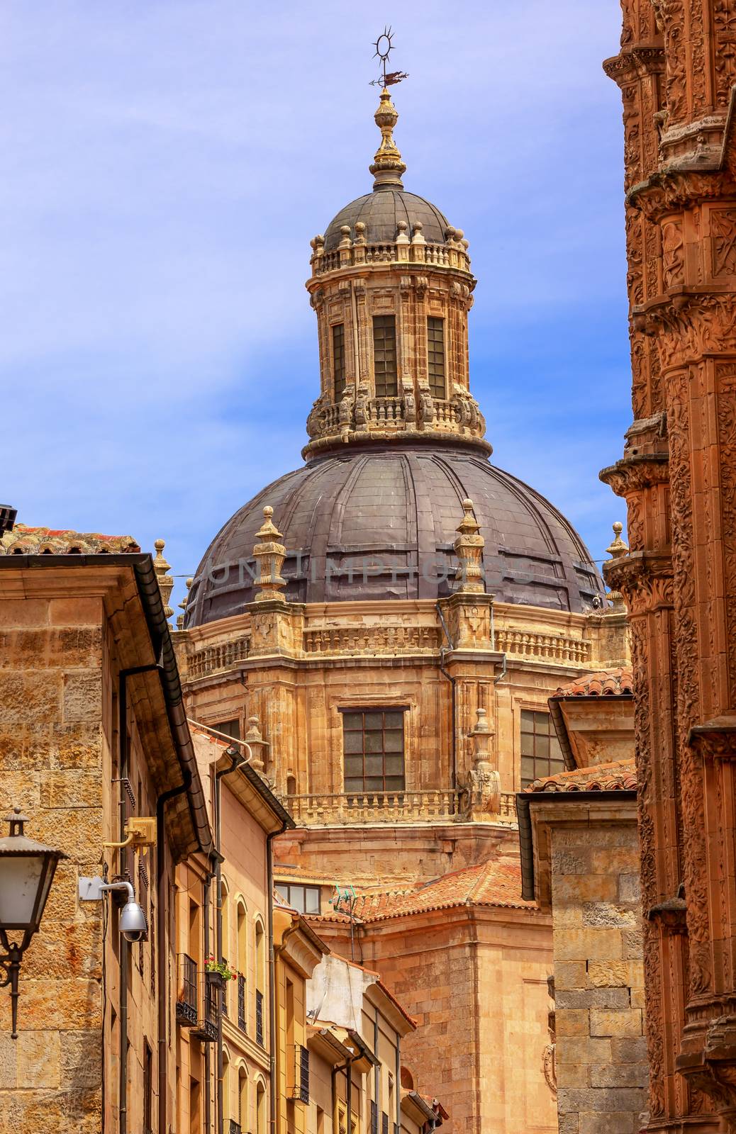 Stone Street Dome New Salamanca Cathedral Spain by bill_perry