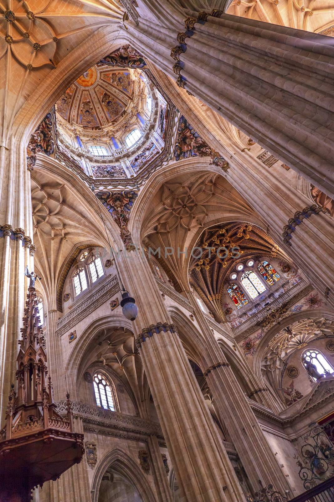 Stone Columns Statues Dome New Salamanca Cathedral Spain by bill_perry