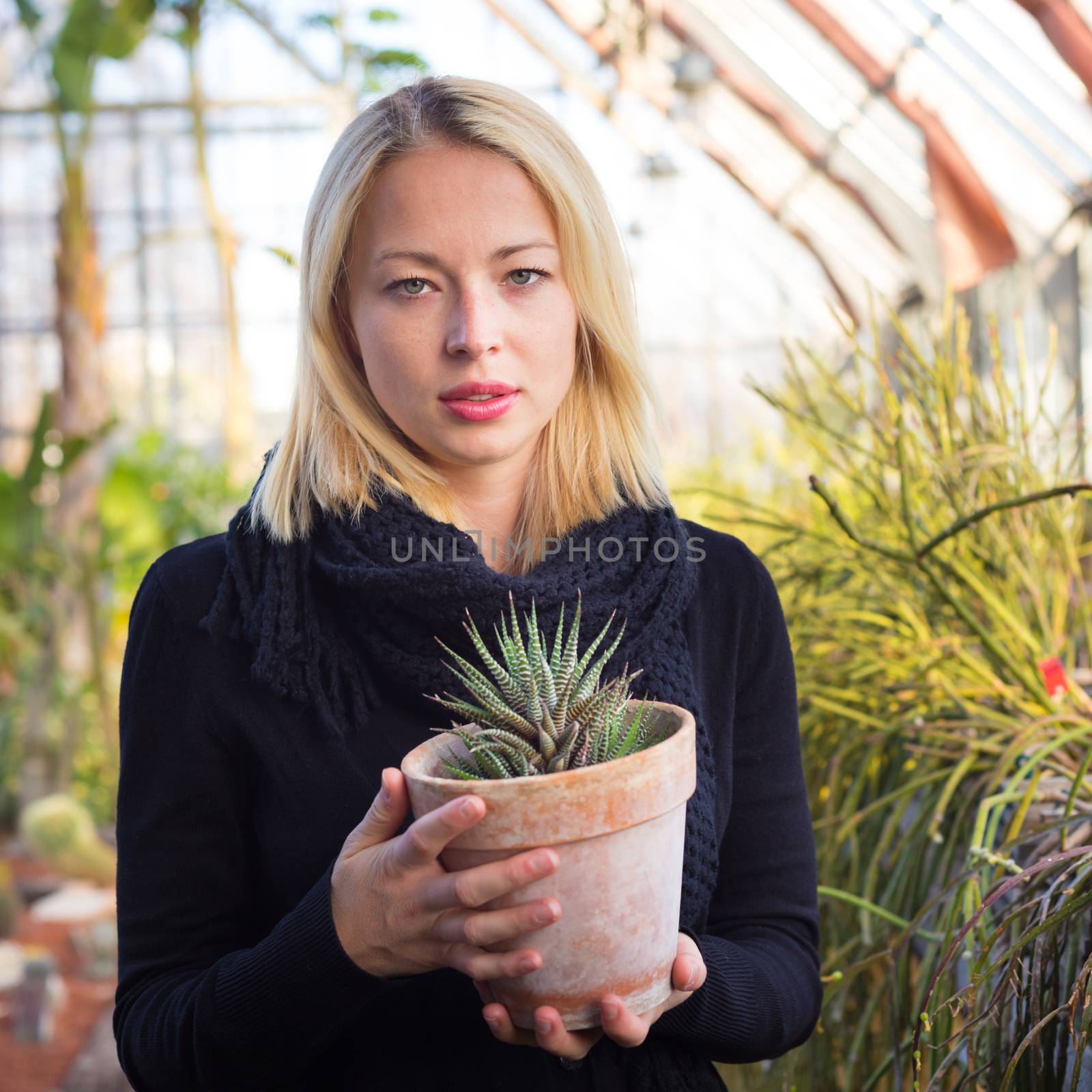 Portrait of florists woman working with flowers in a greenhouse holding a pot plant in her hand. Small business owner.