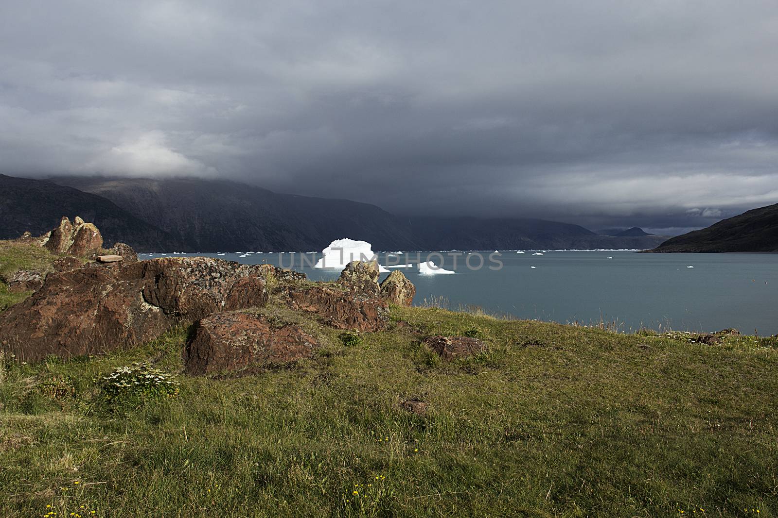 iceberg inthe coast of greenland