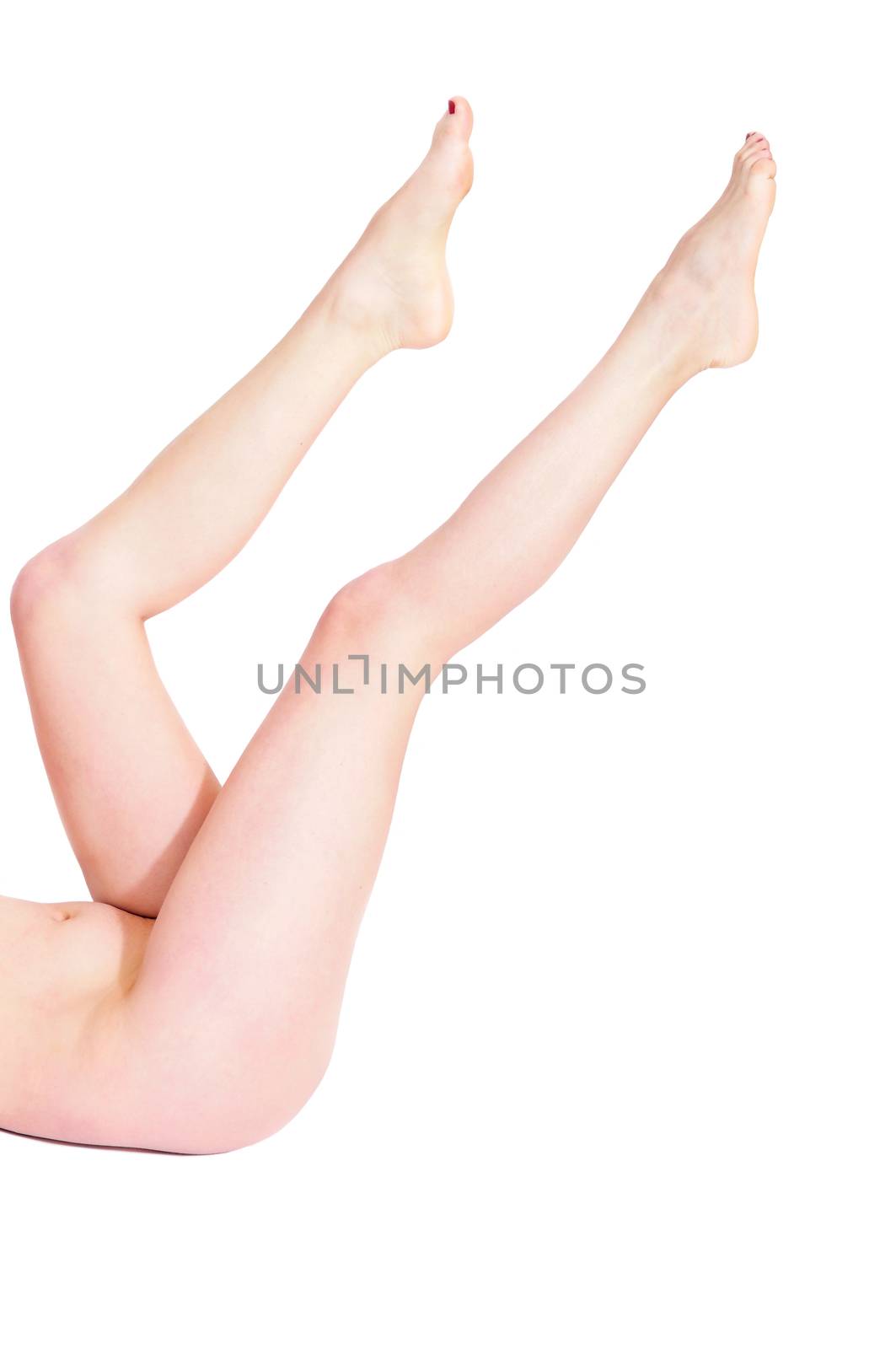 nice long female legs over the white background 