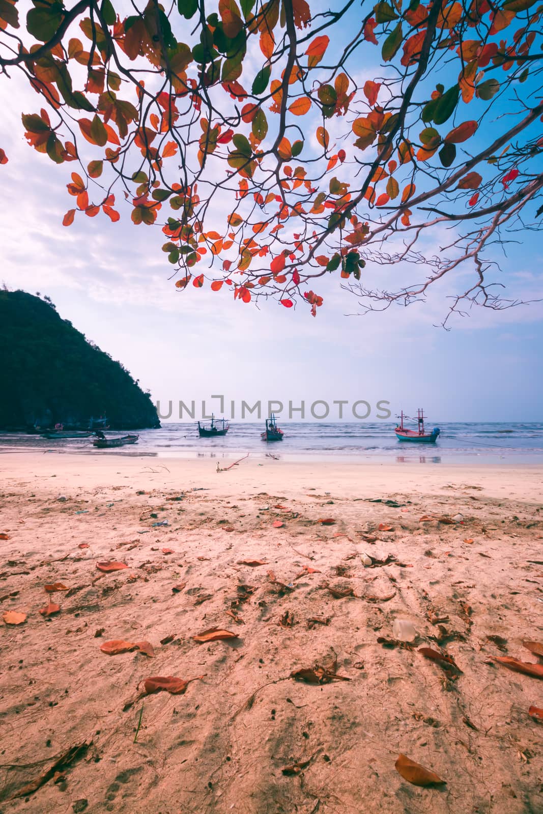 Traditional Fishing boats near the beach. Thailand