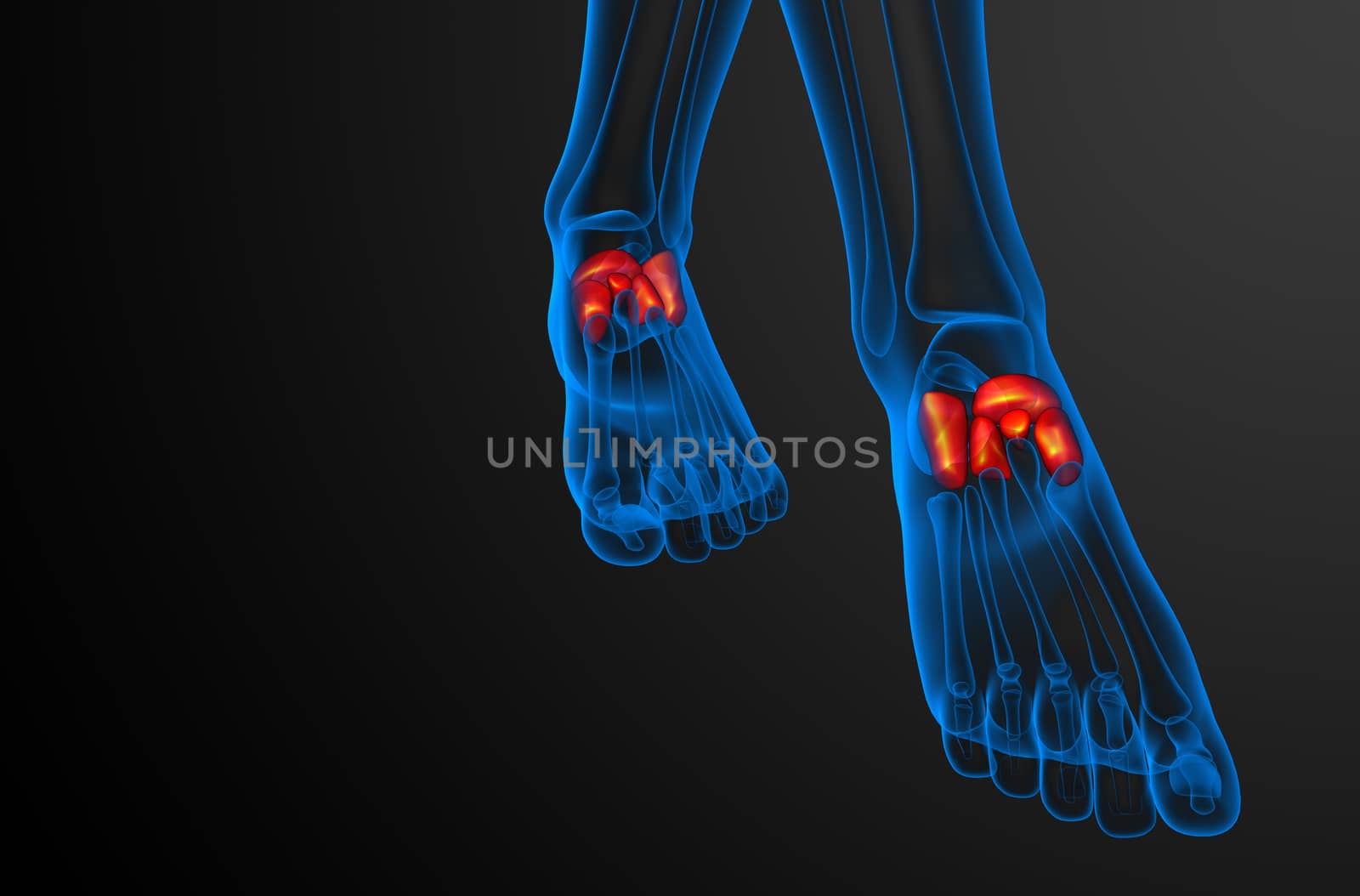 3d render medical illustration of the midfoot bone by maya2008