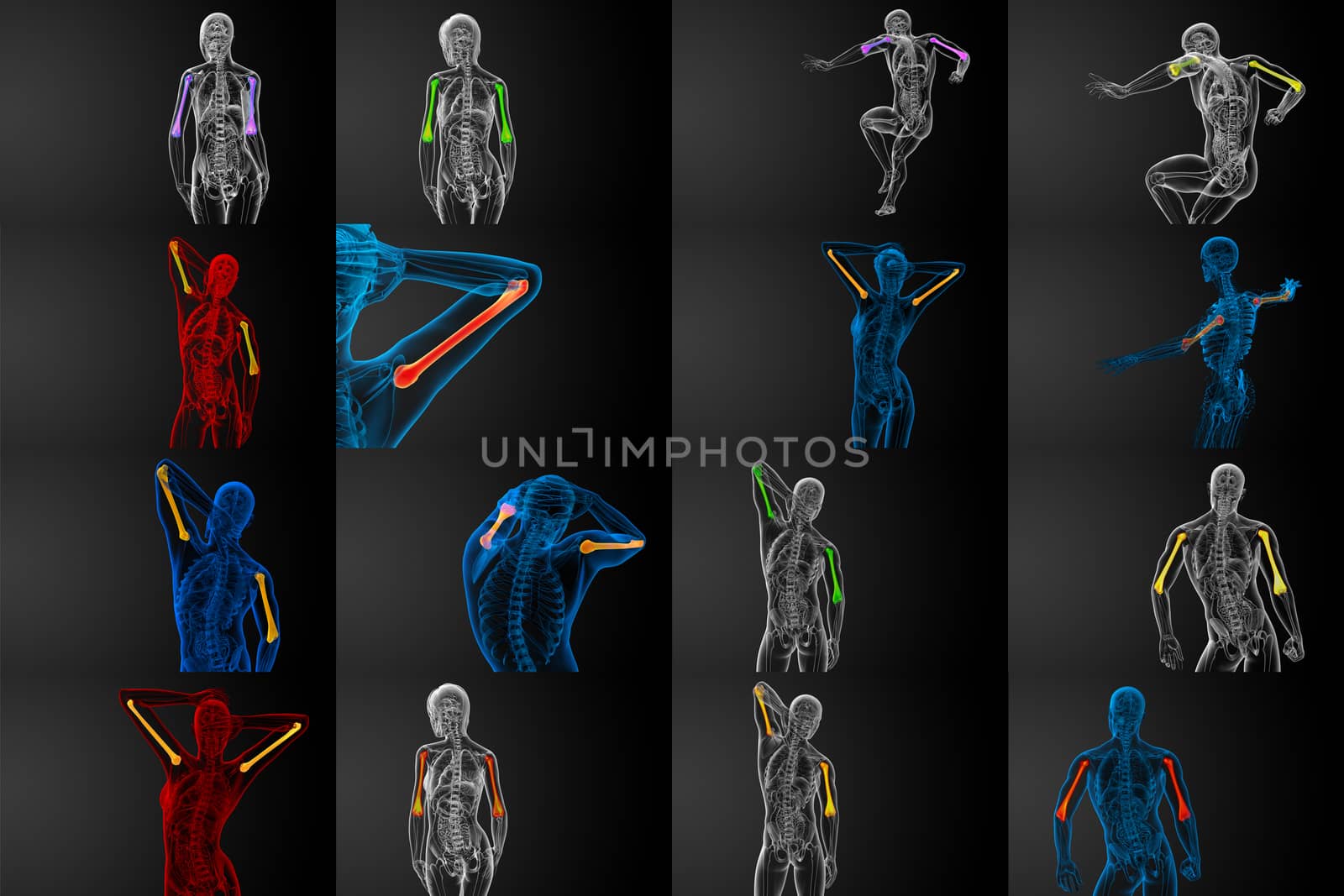 3d render medical illustration of the humerus bone by maya2008