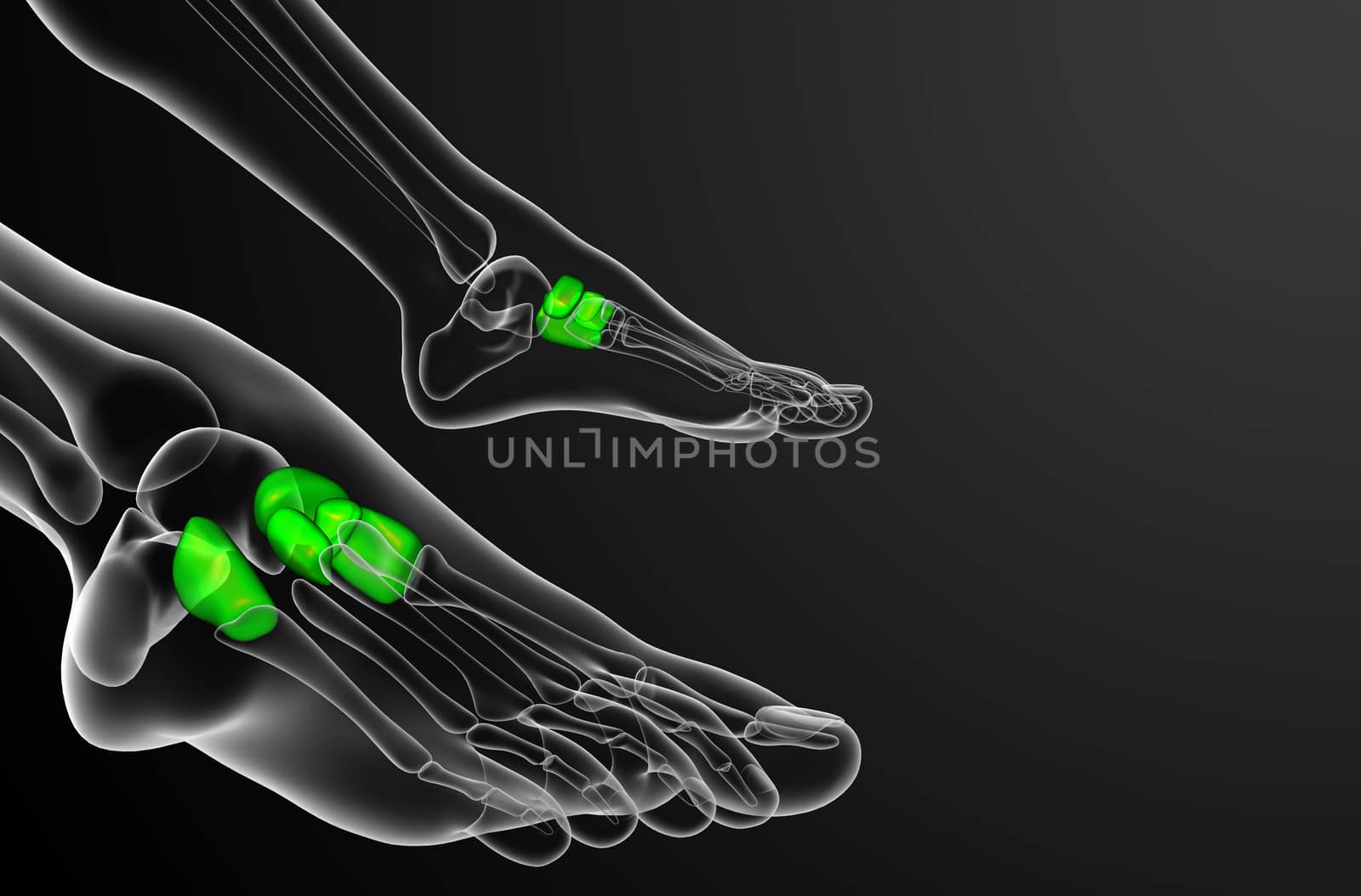 3d render medical illustration of the midfoot bone - side view