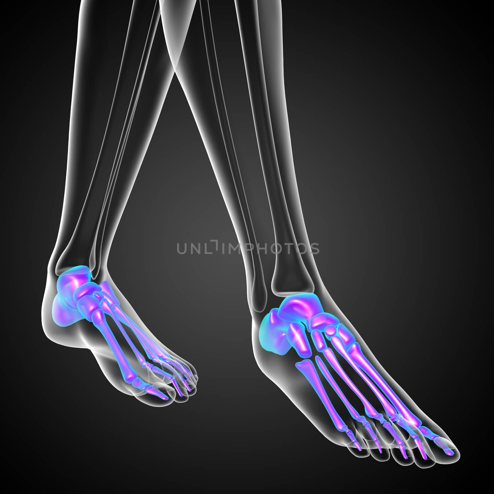 3d render medical illustration of the feet bone by maya2008