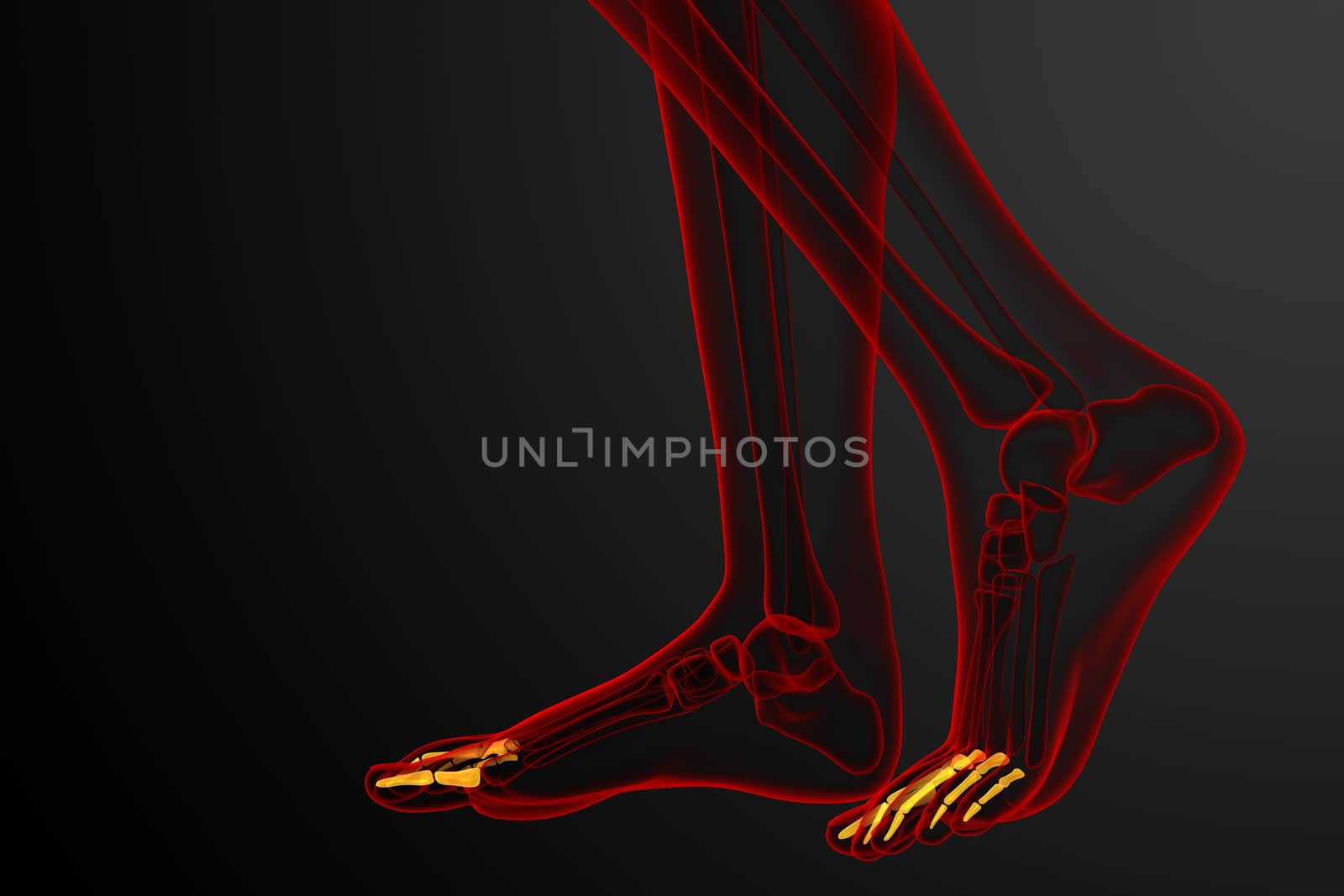 3d render medical illustration of the phalanges foot - side view