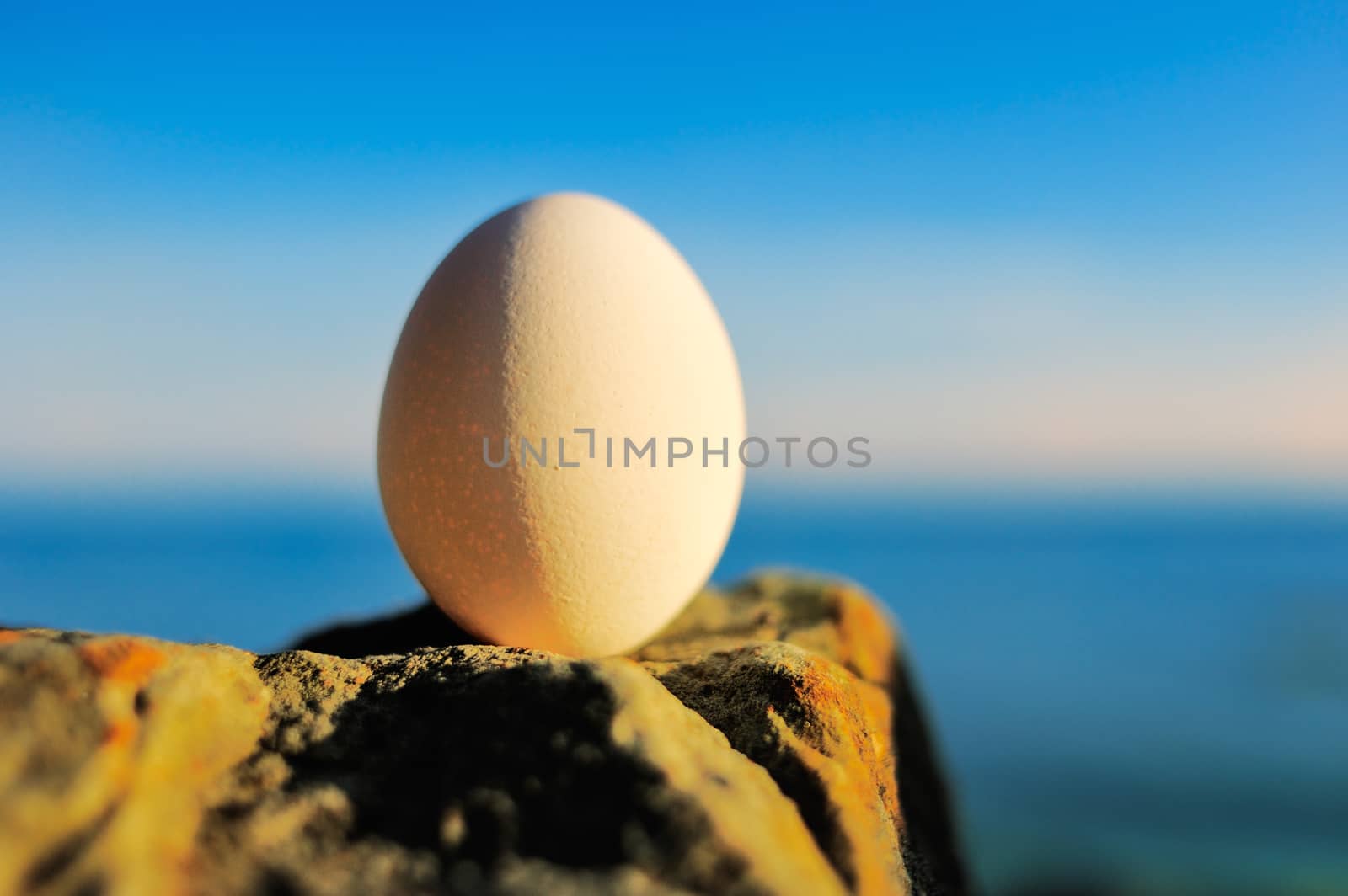 Egg in balance on stone by styf22