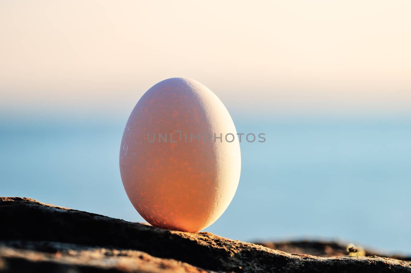 Egg on the seashore by styf22