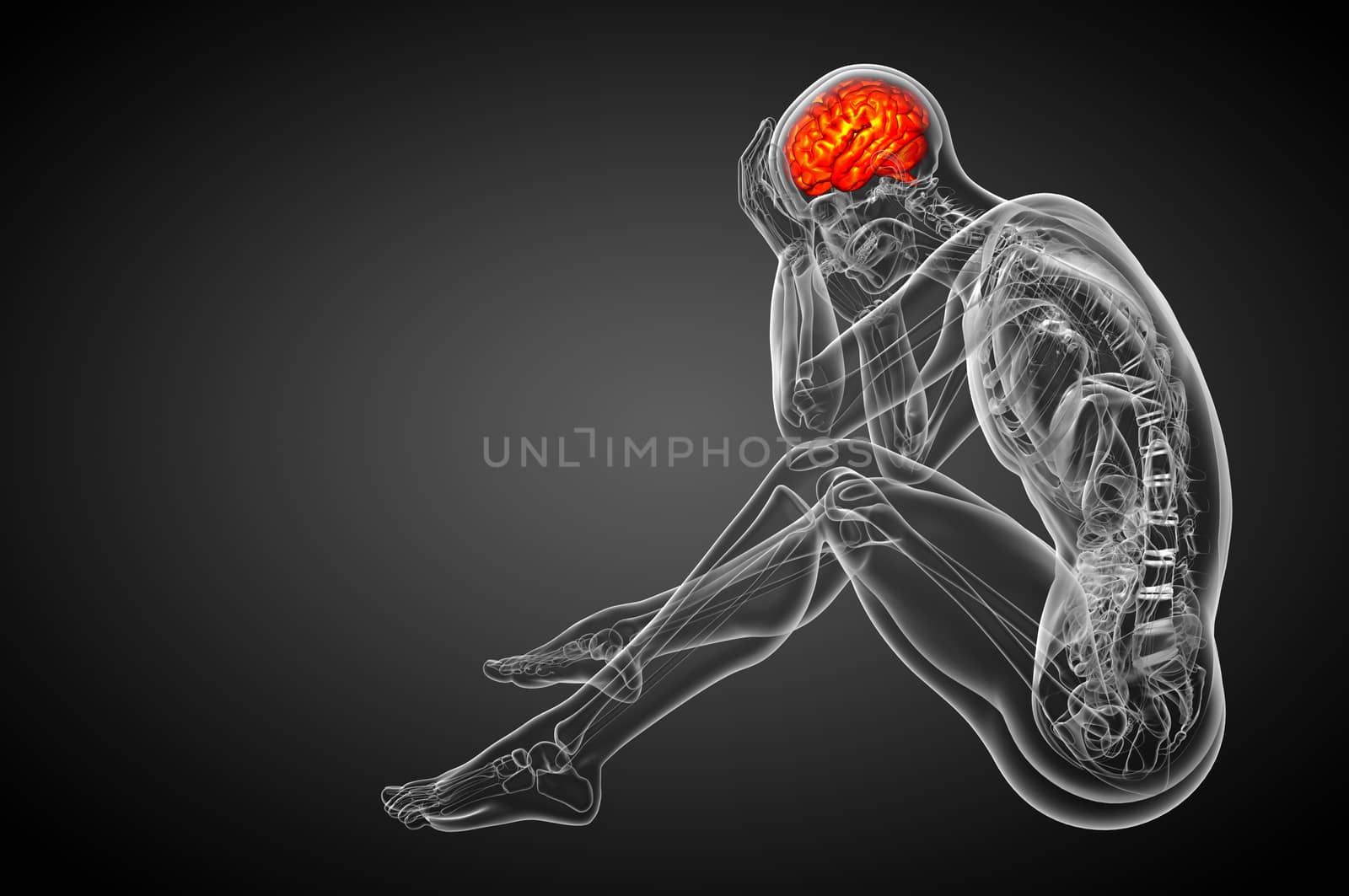 3D medical illustration of the brain   by maya2008