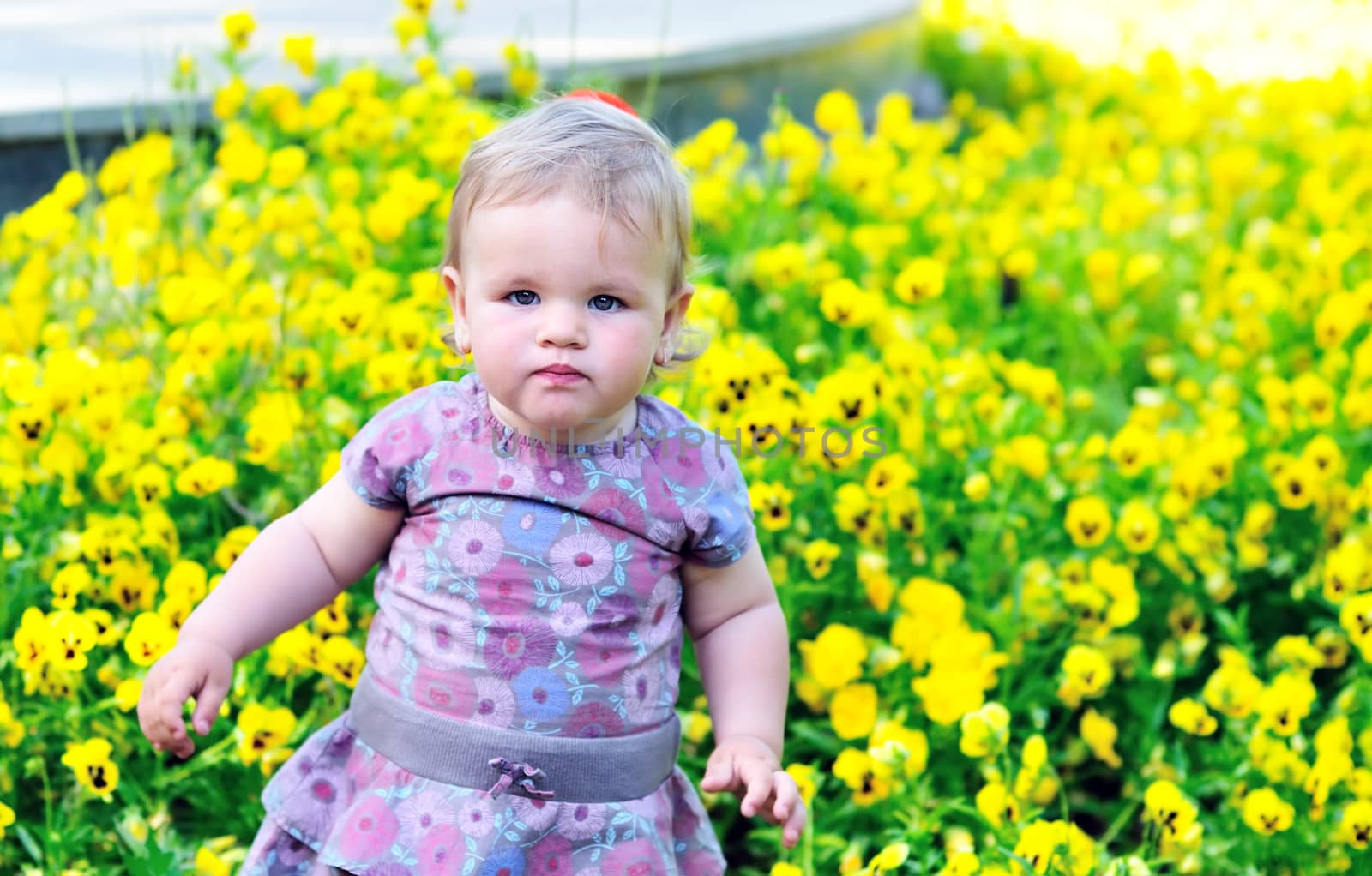 baby girl standing near yellow pansy